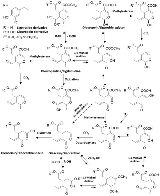 Olive Oil Industry By-Products as a Novel Source of