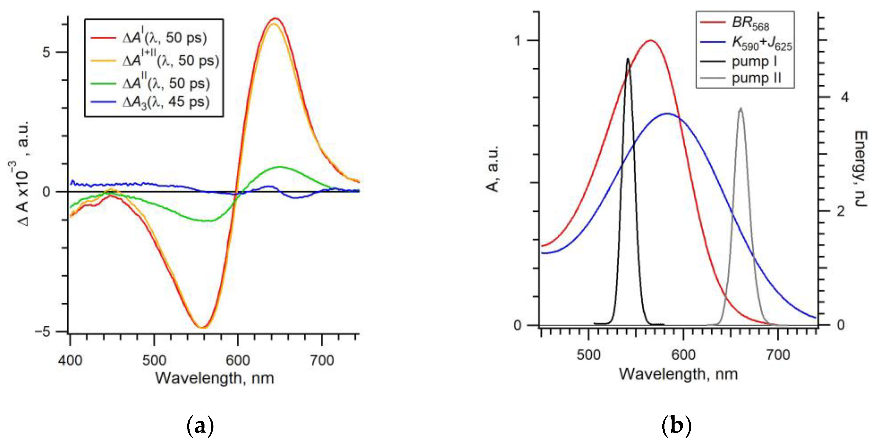 Molecules 29 04847 g004 Molecules 29 04847 g004
