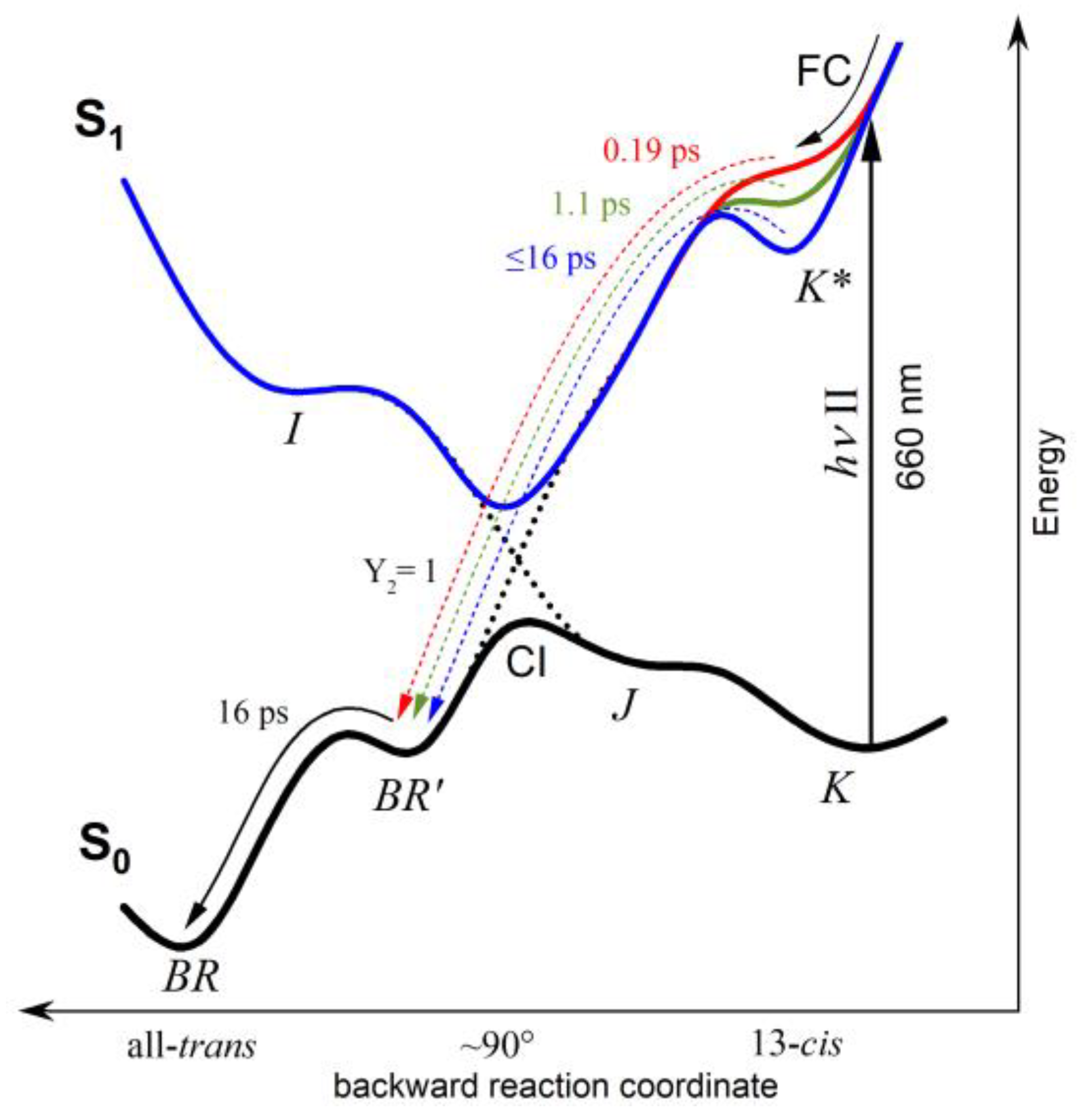 Molecules 29 04847 g007 Molecules 29 04847 g007