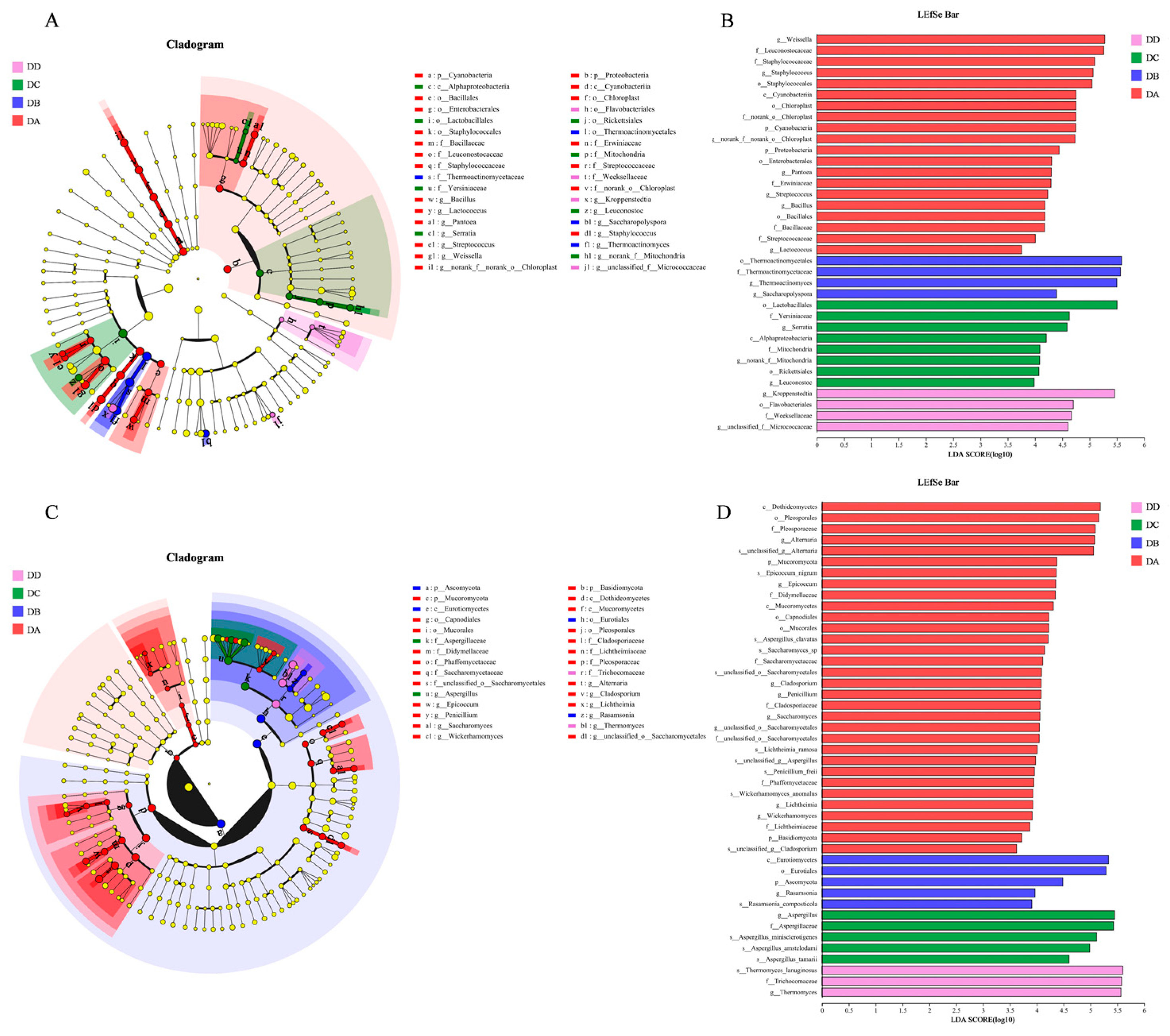 Molecules 29 04851 g008