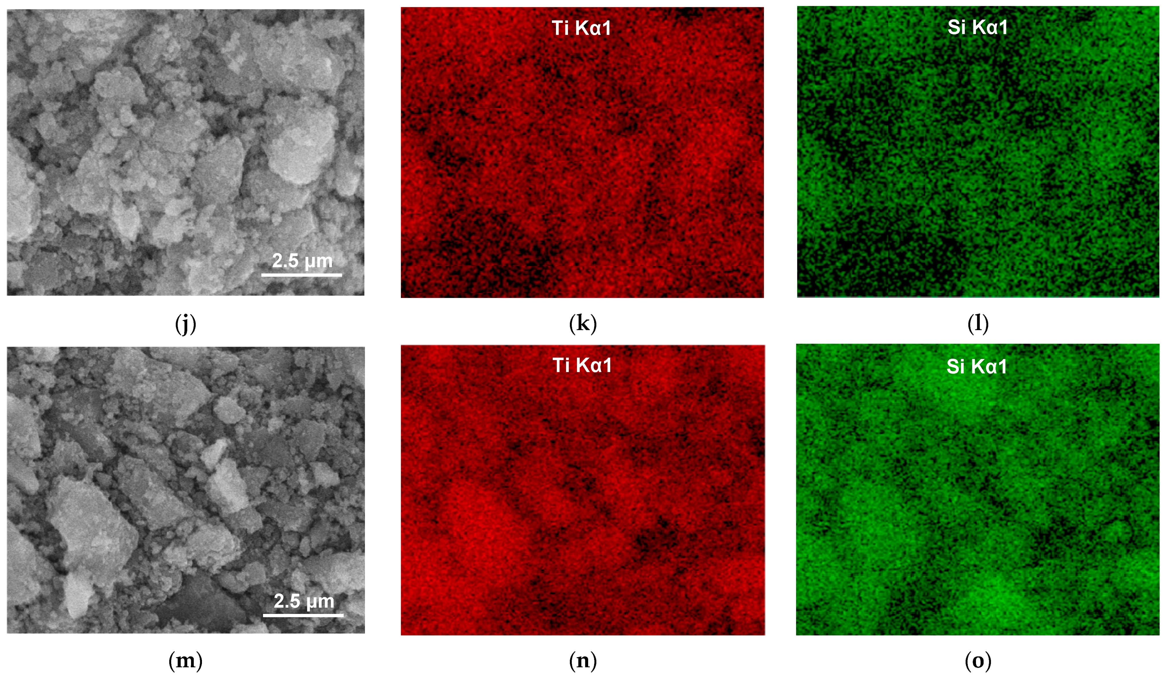 Molecules 29 04852 g004b