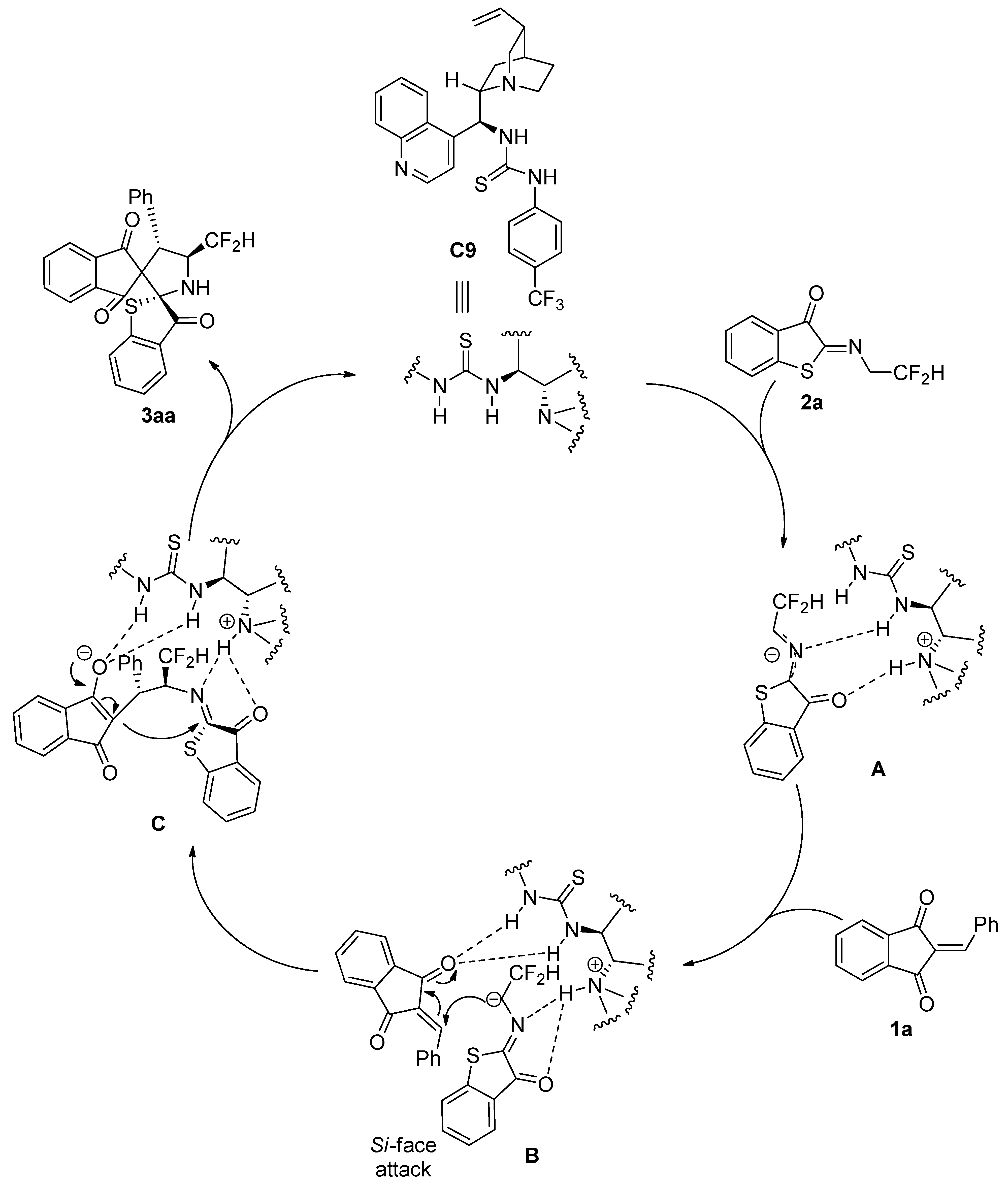 Molecules 29 04856 sch004
