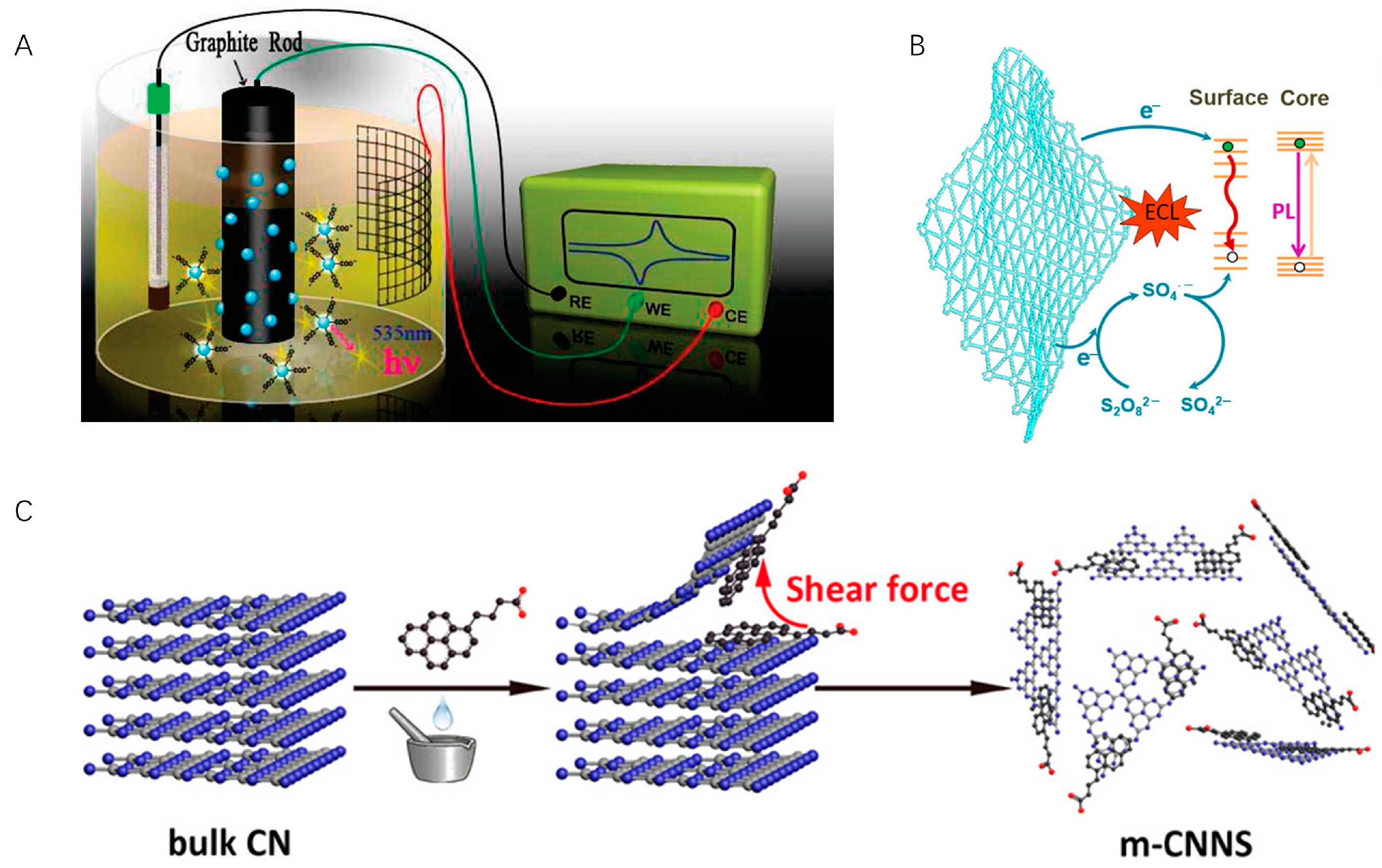 Molecules 29 04857 g002