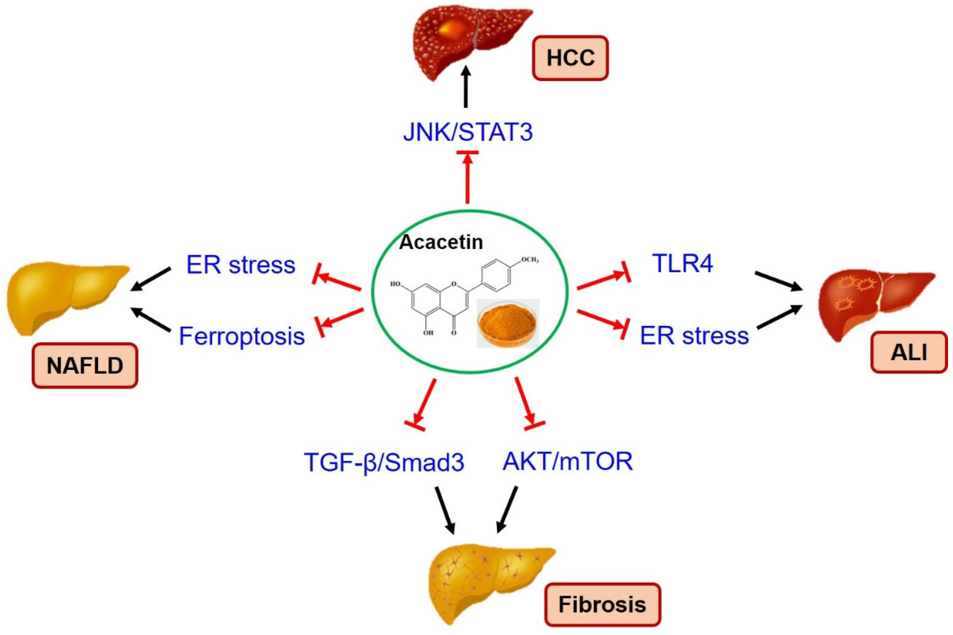 Molecules 29 04872 g002 Molecules 29 04872 g002