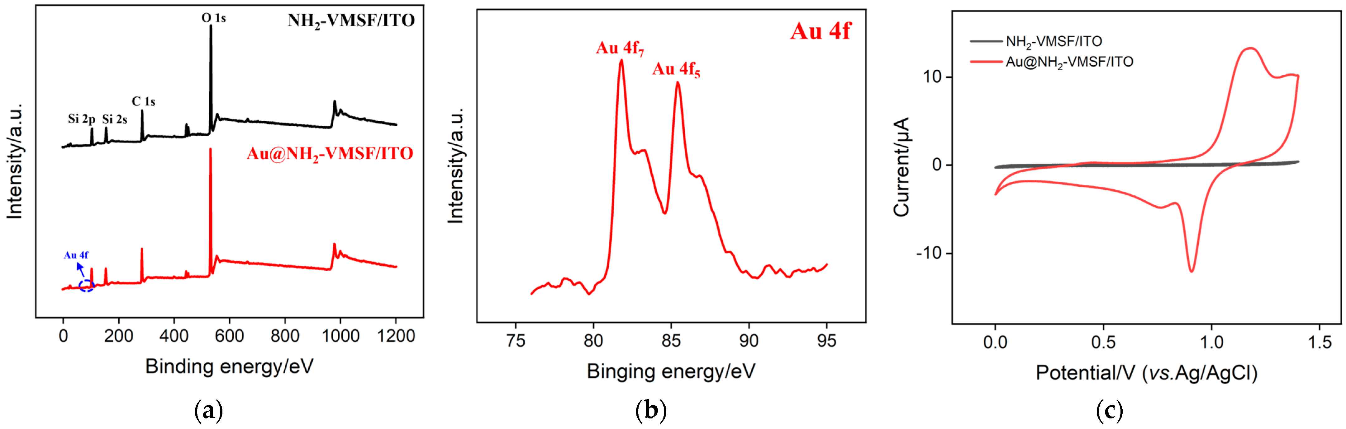 Molecules 29 04880 g004