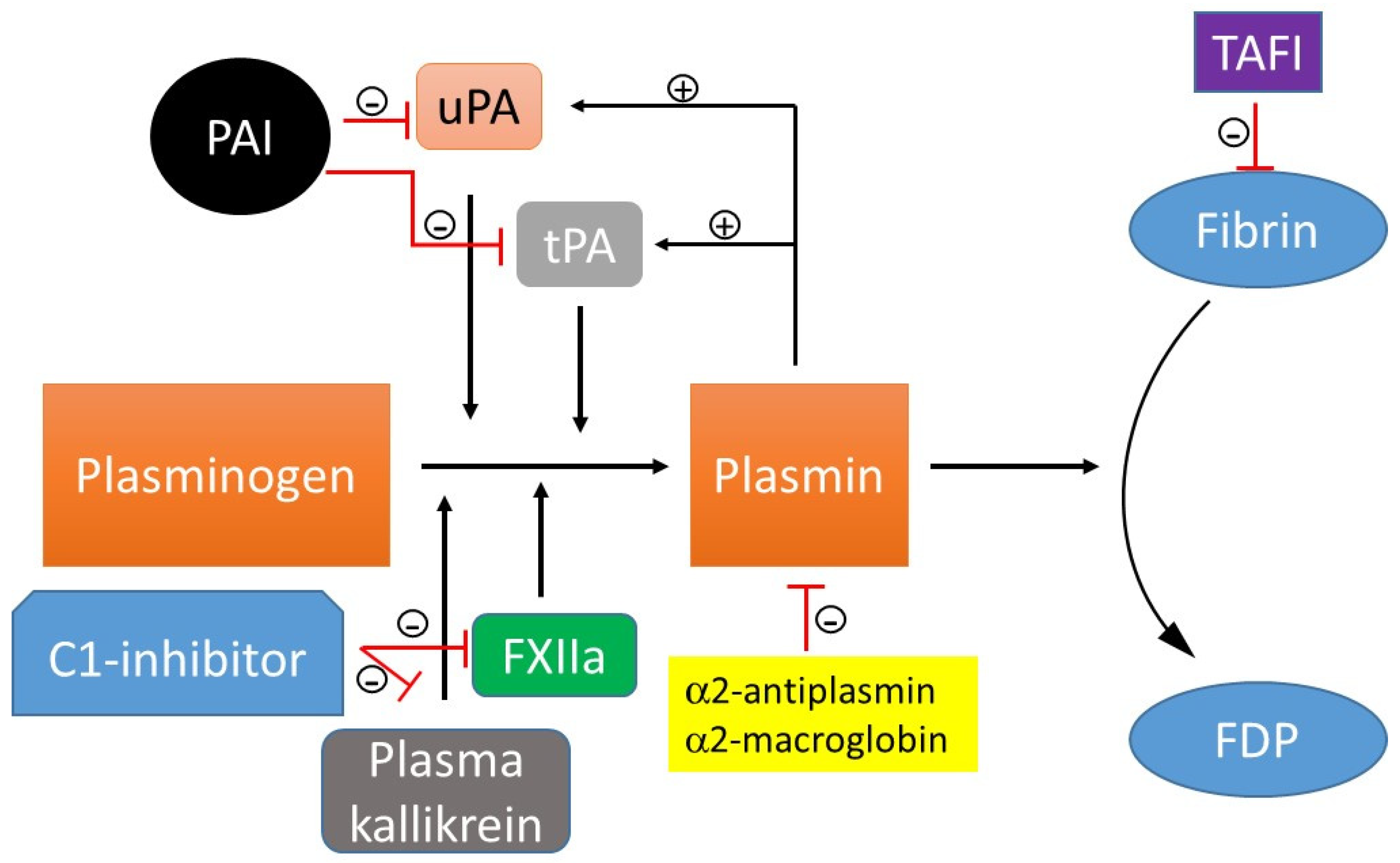 Molecules 29 04883 g002 Molecules 29 04883 g002