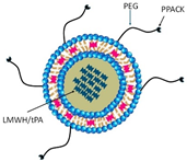 Molecules 29 04883 i002 Molecules 29 04883 i002