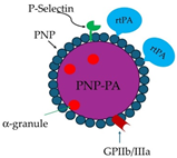 Molecules 29 04883 i006 Molecules 29 04883 i006