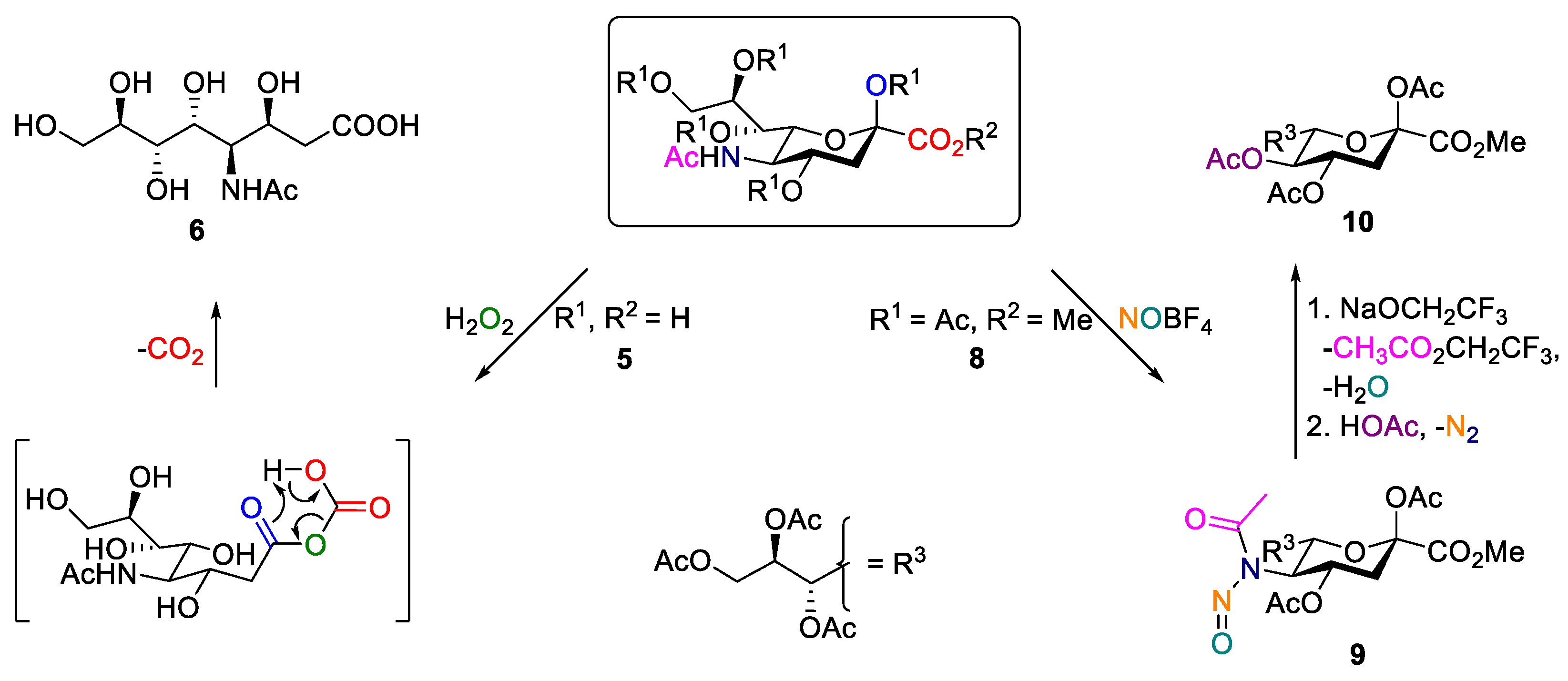 Molecules 29 04885 sch001