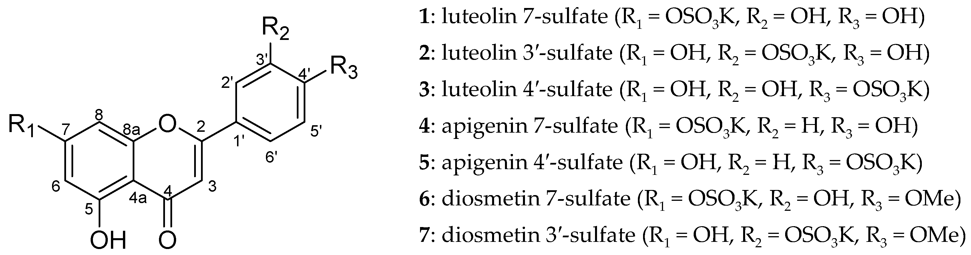Molecules 29 04888 g001