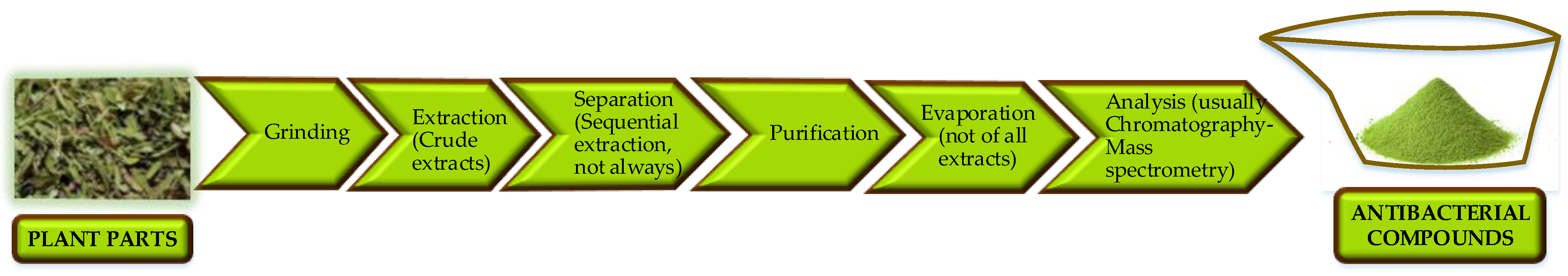 Molecules 29 04889 g003