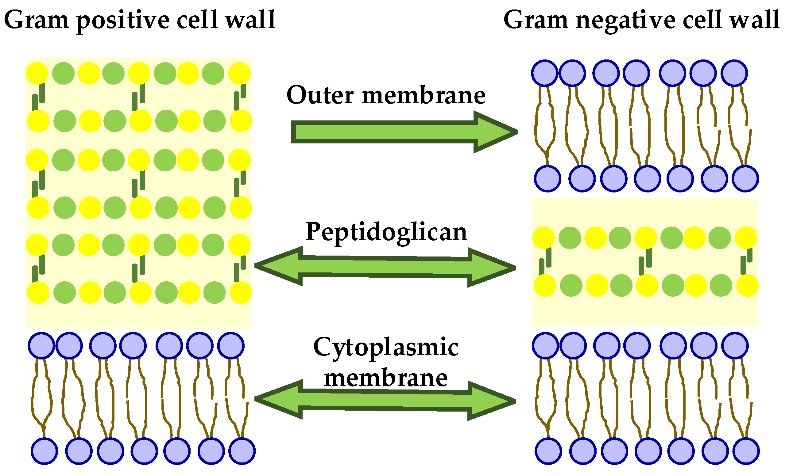Molecules 29 04889 g005