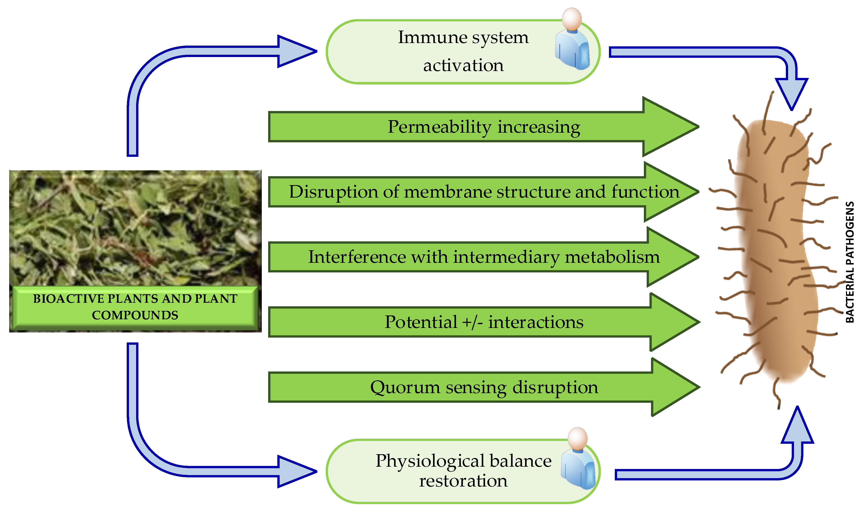 Molecules 29 04889 g006