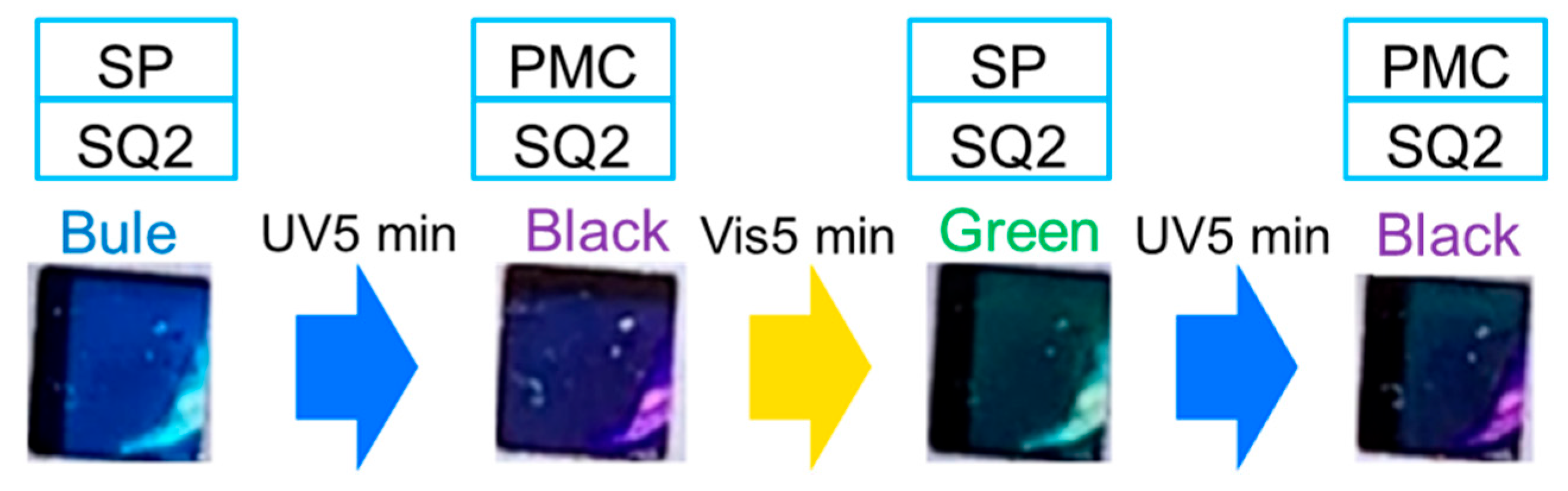 Molecules 29 04896 g003