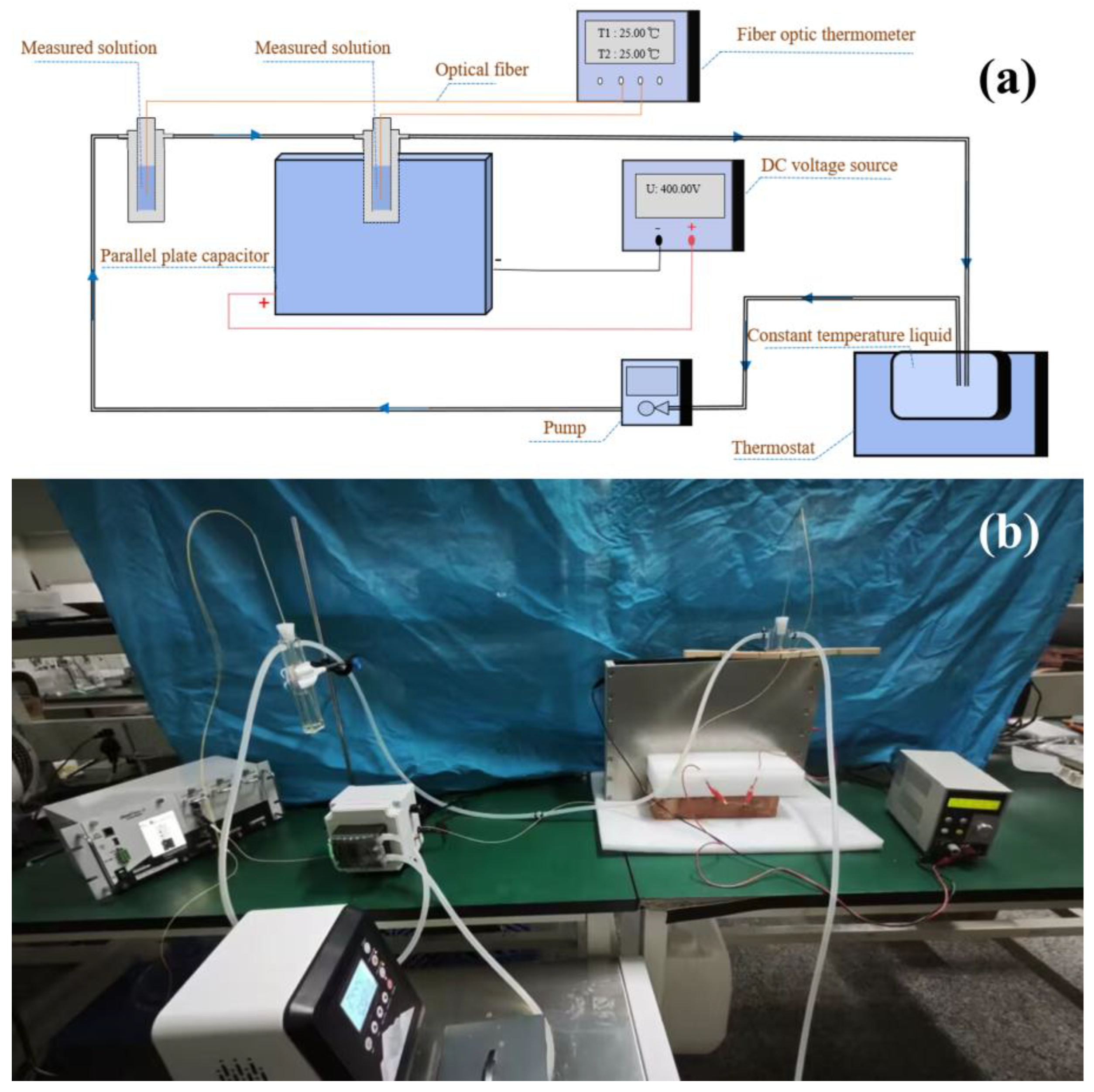 Molecules 29 04898 g008