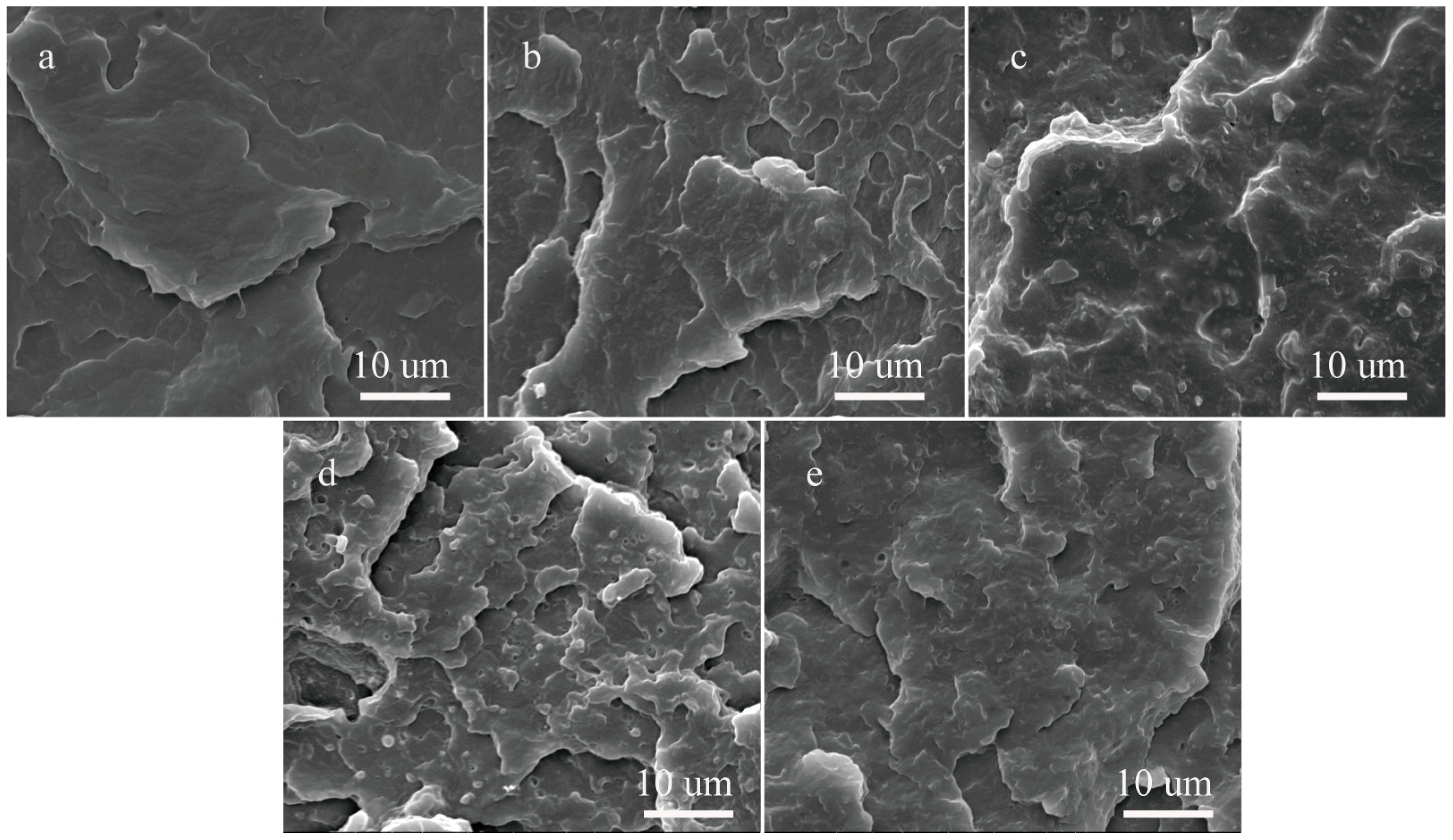 Molecules 29 04905 g003