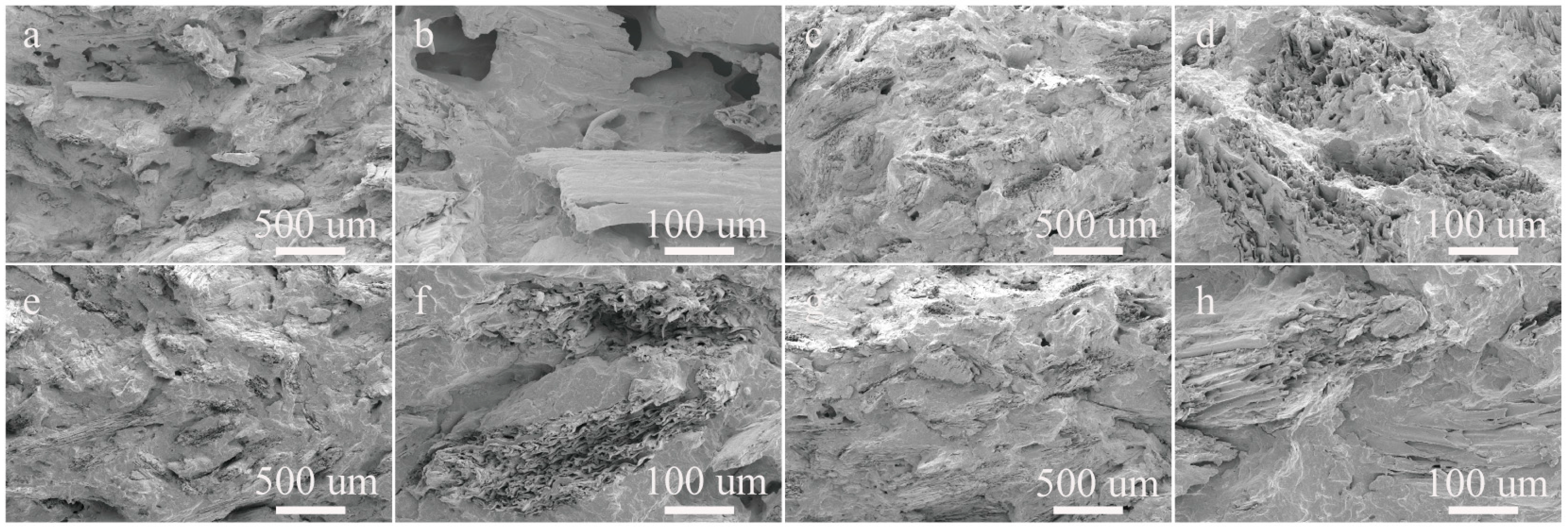 Molecules 29 04905 g006