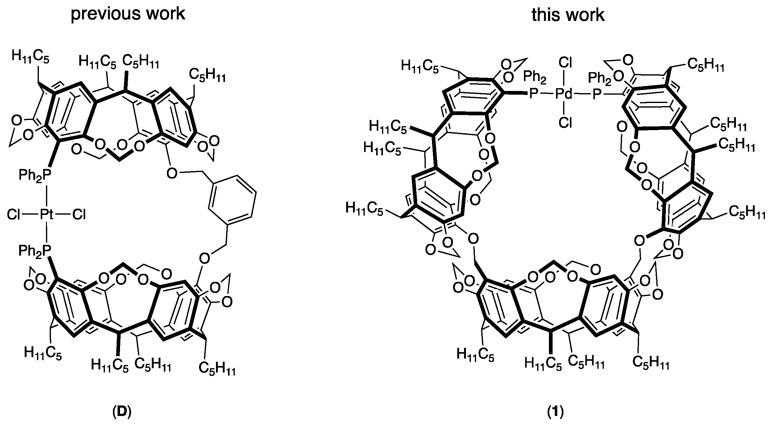 Molecules 29 04910 g002