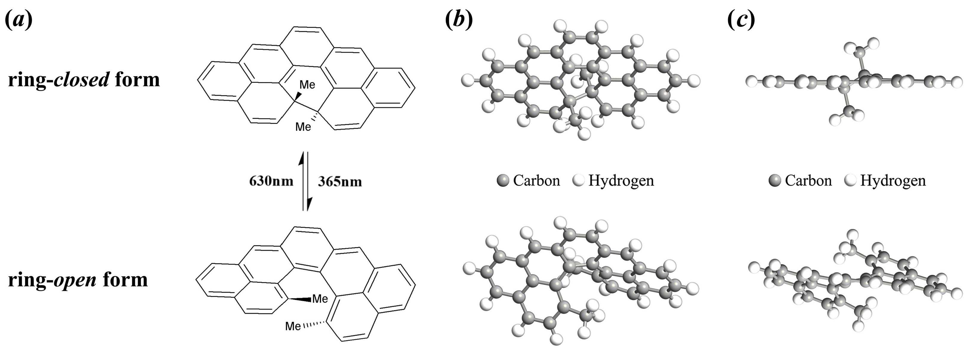 Molecules 29 04912 g001