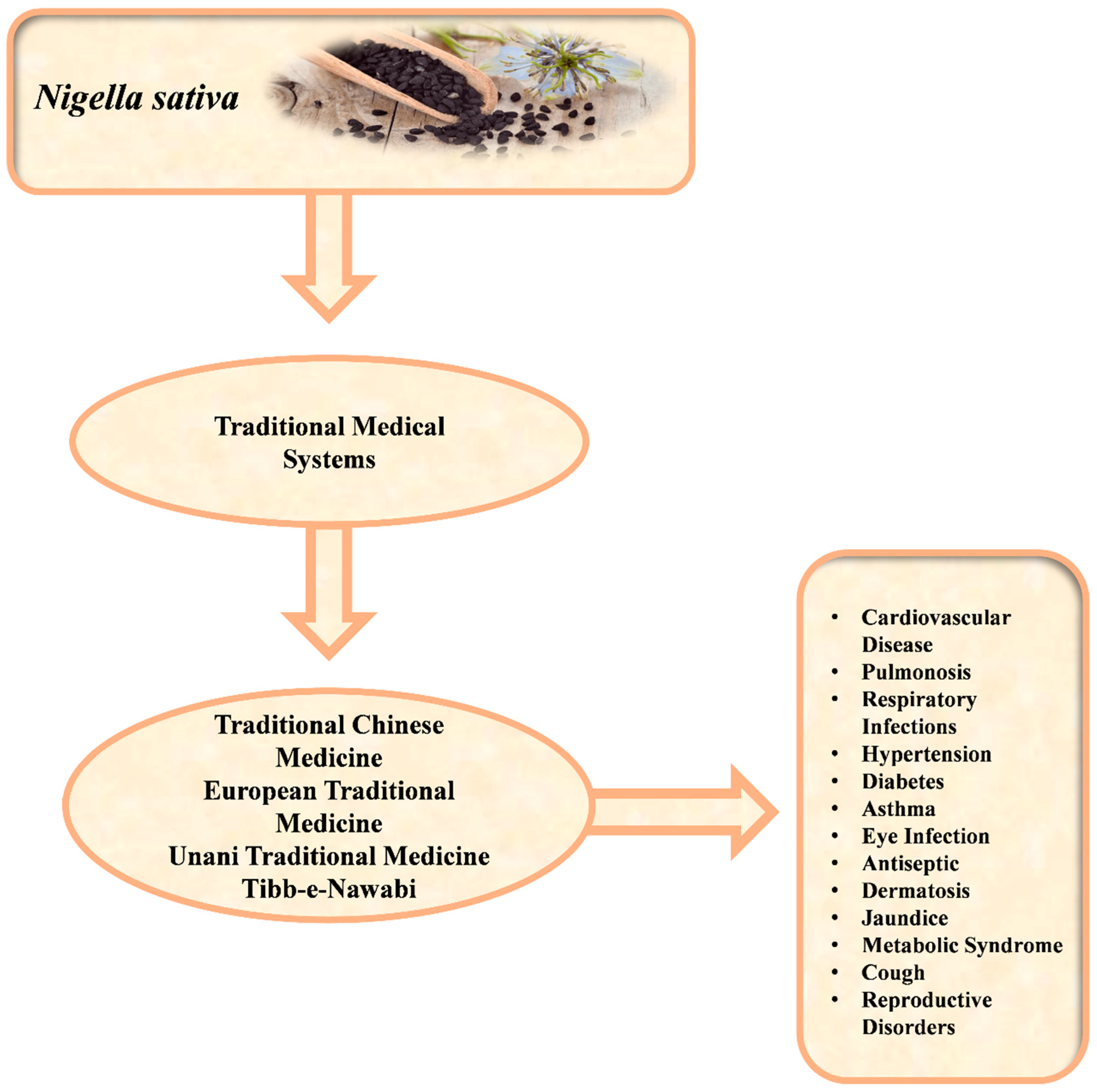 Molecules 29 04914 g001 Molecules 29 04914 g001
