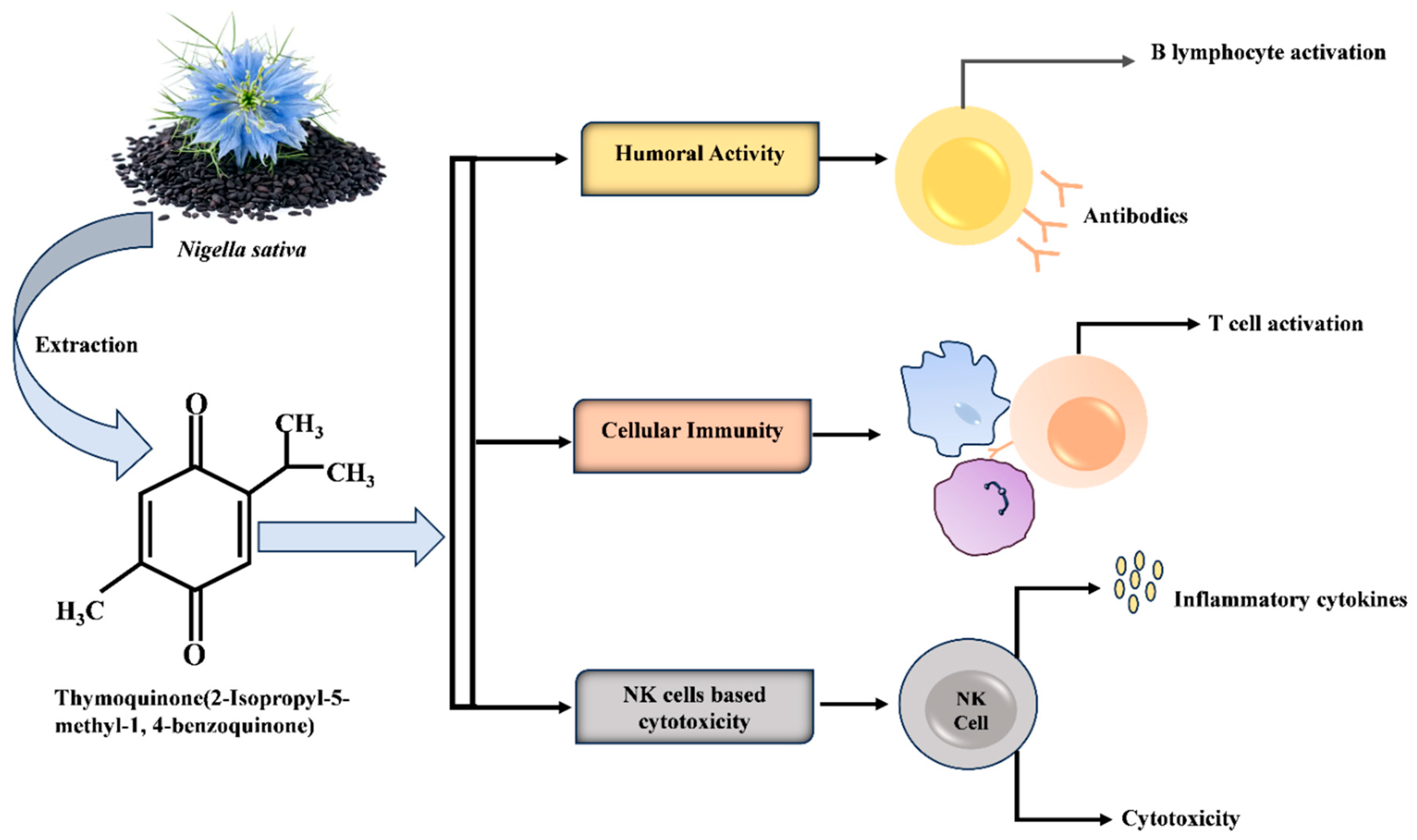 Molecules 29 04914 g003 Molecules 29 04914 g003