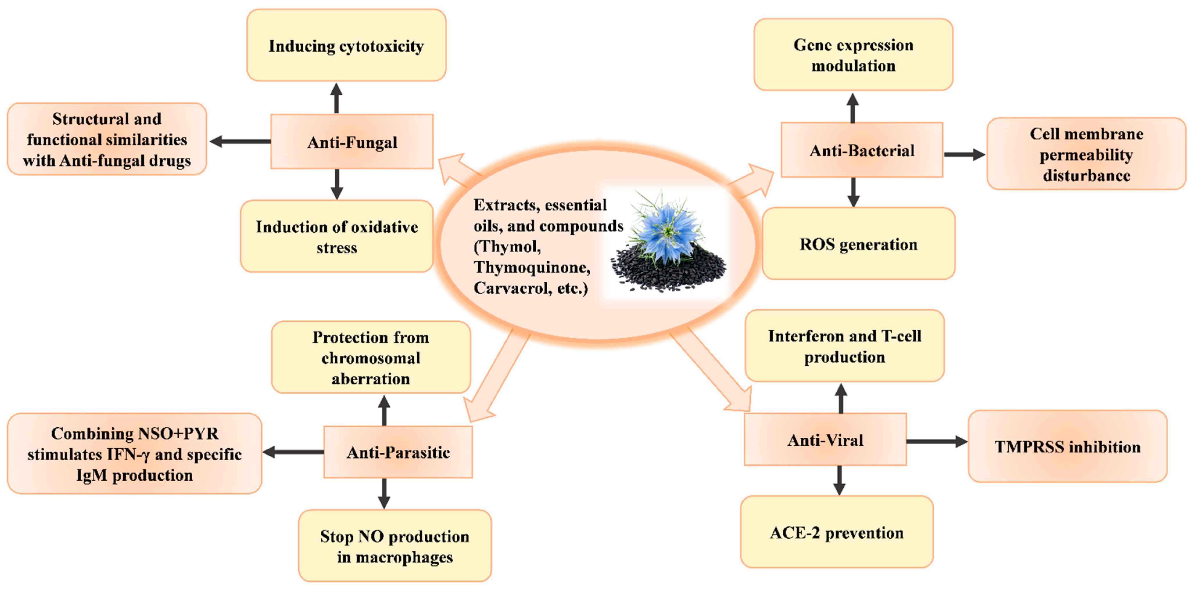 Molecules 29 04914 g004 Molecules 29 04914 g004
