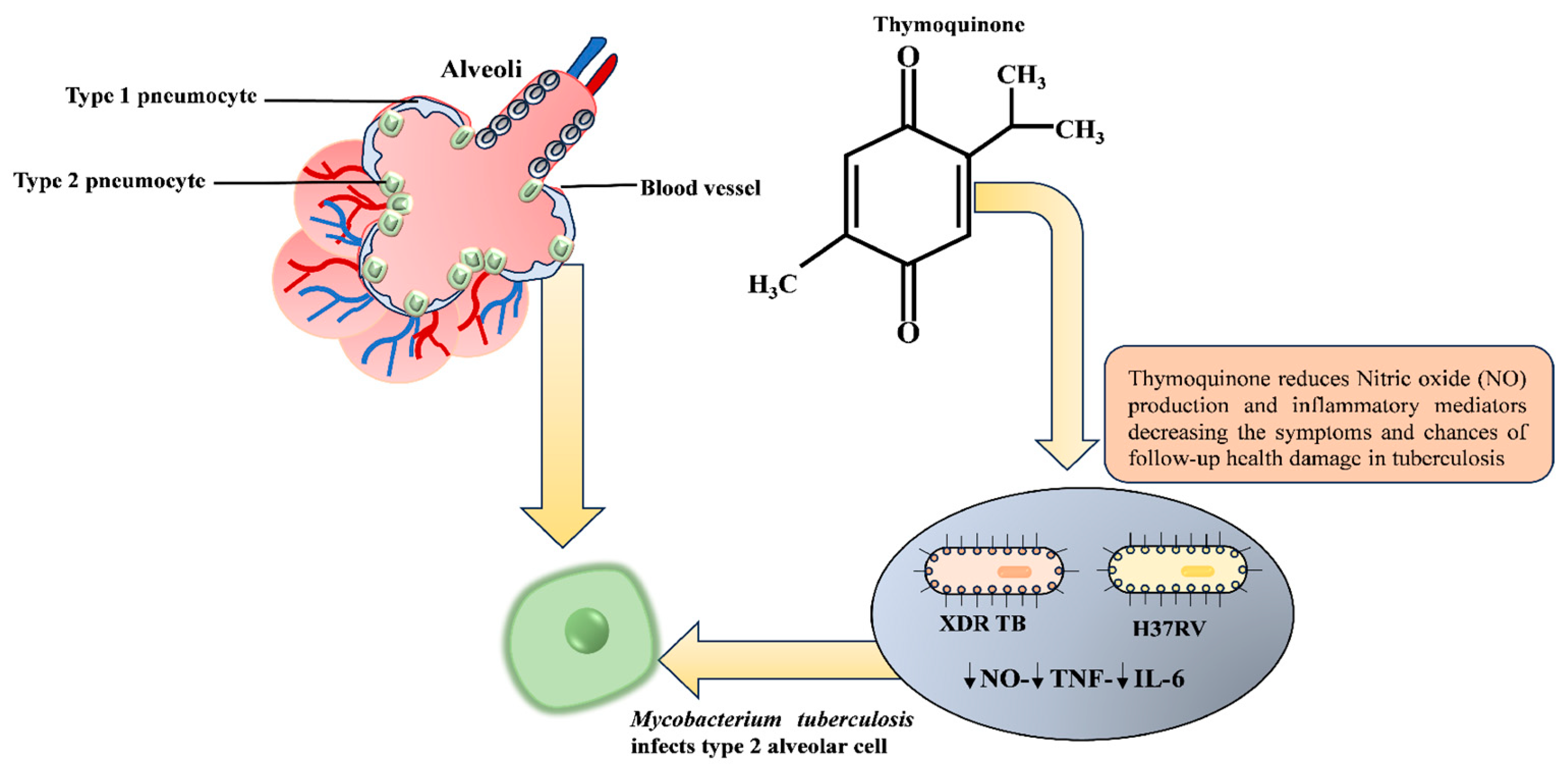 Molecules 29 04914 g005 Molecules 29 04914 g005