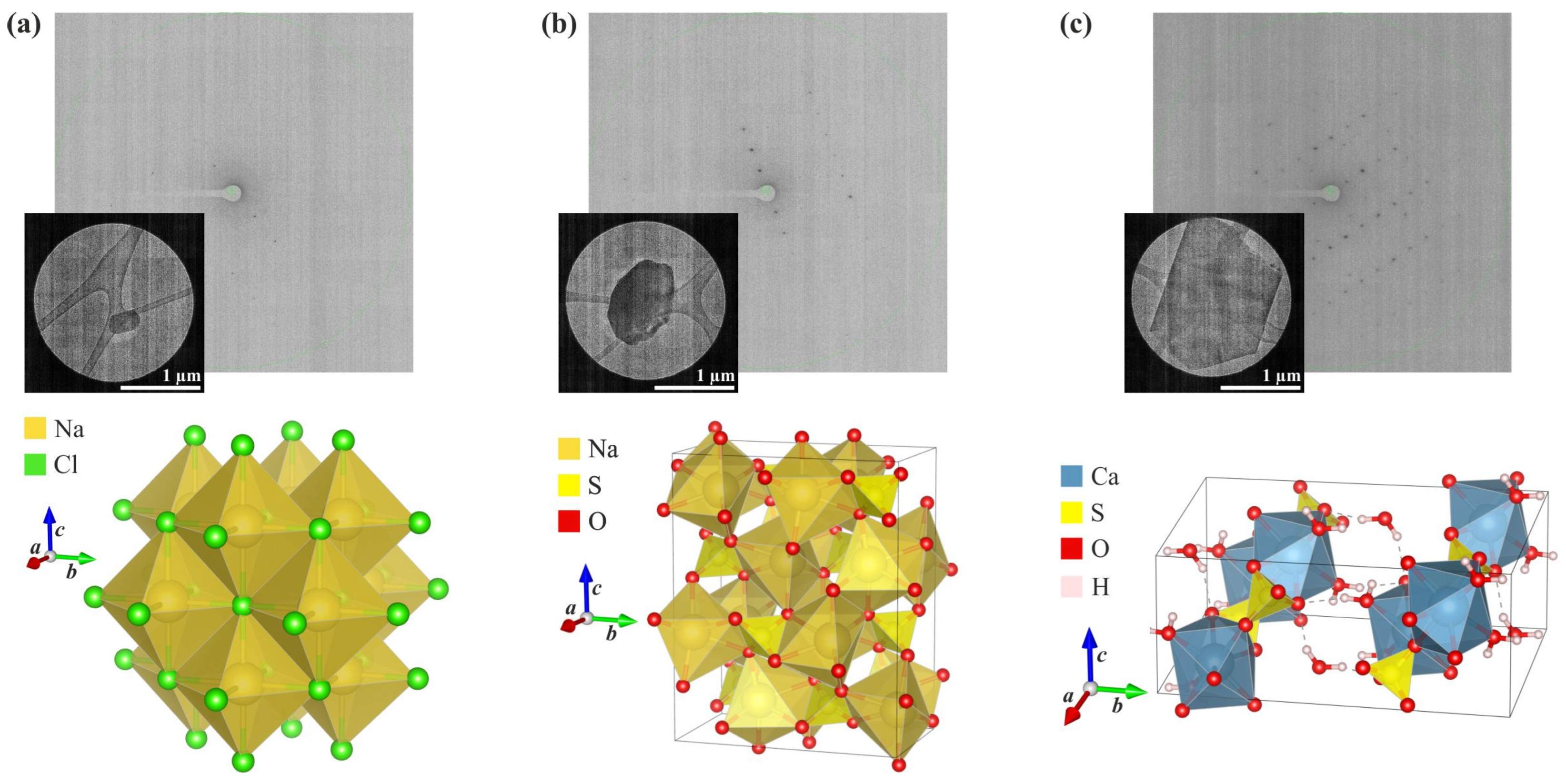 Molecules 29 04916 g002