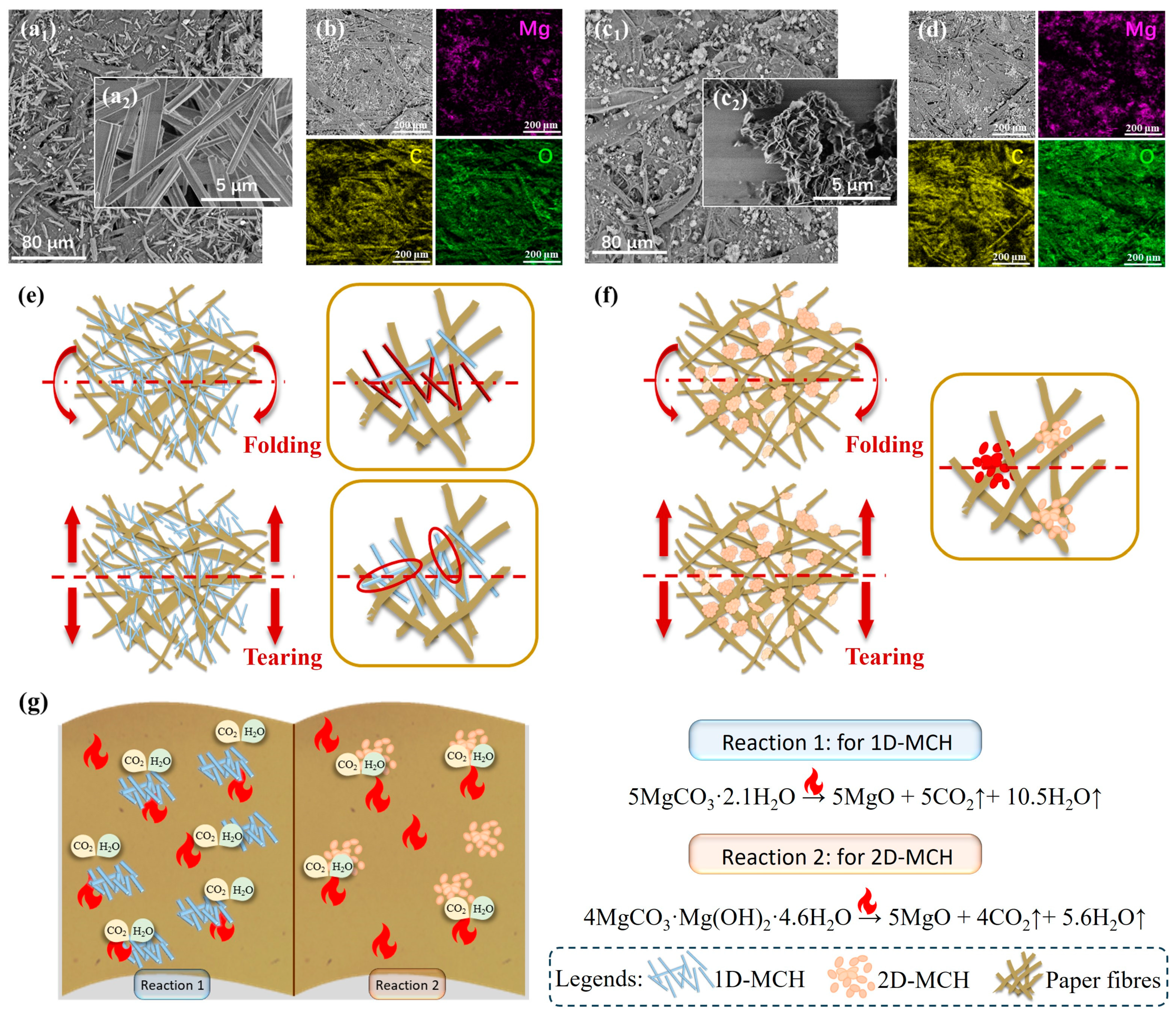 Molecules 29 04921 g007
