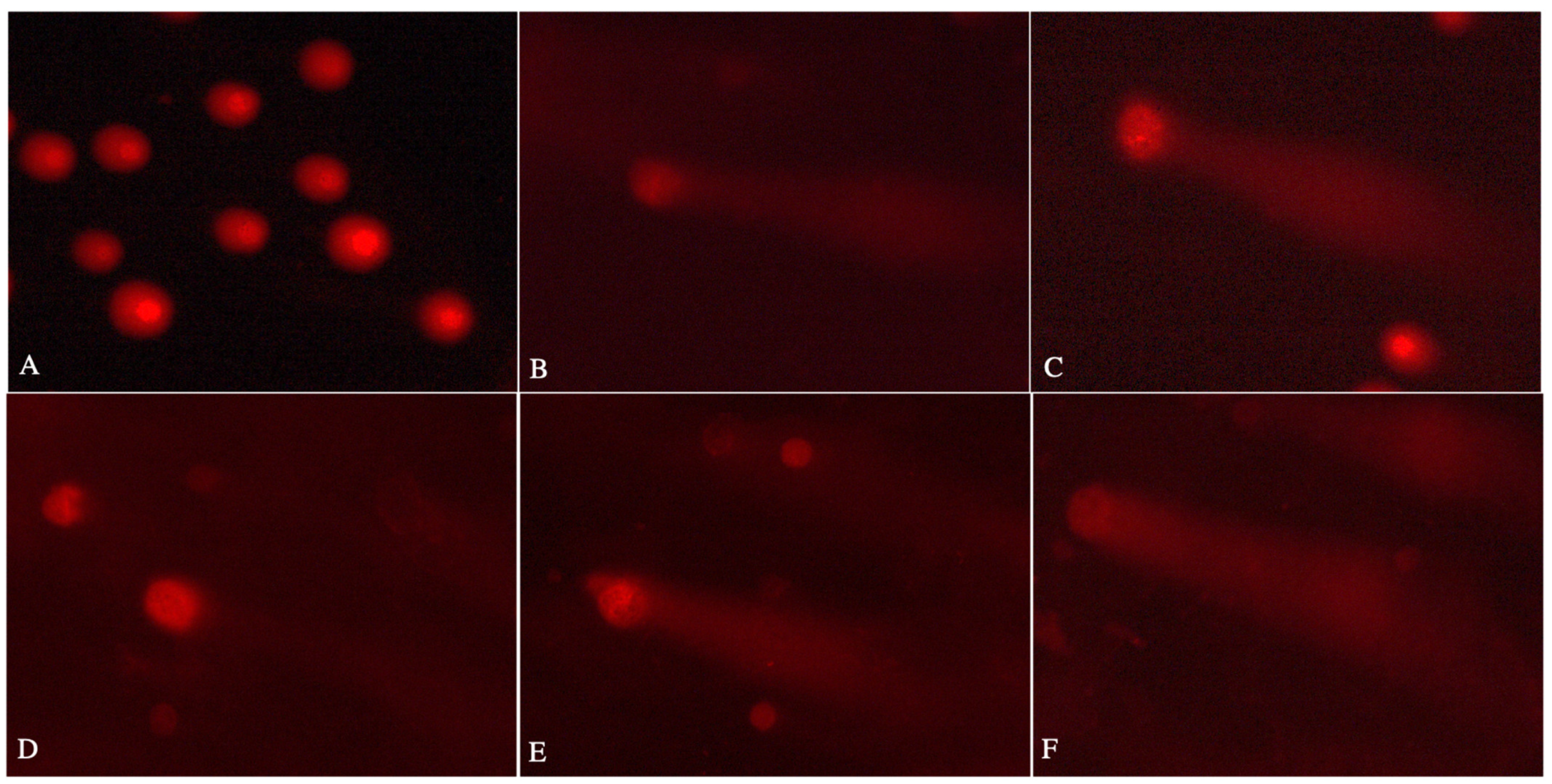 Molecules 29 04922 g005