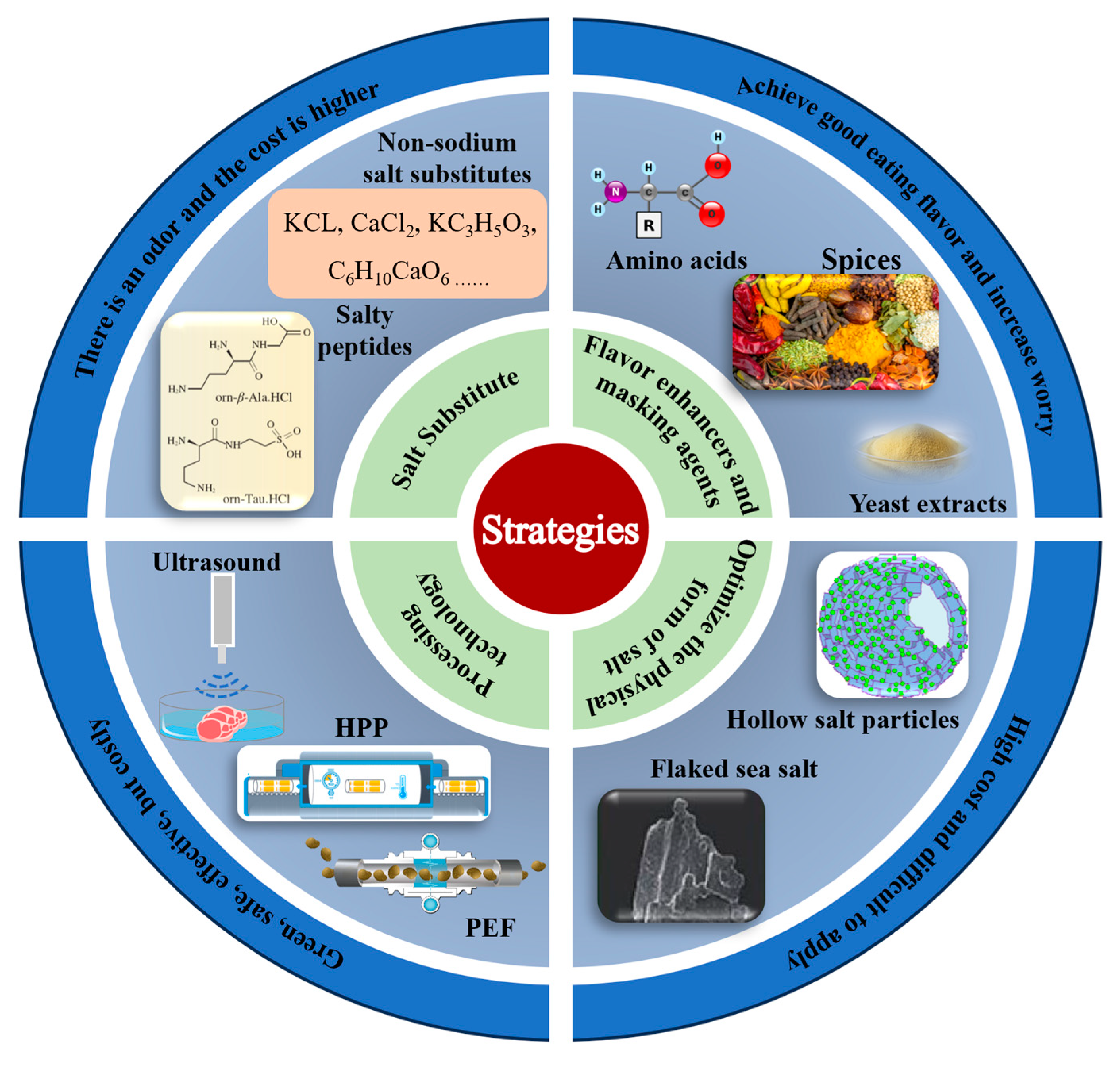 Molecules 29 04926 g001 Molecules 29 04926 g001