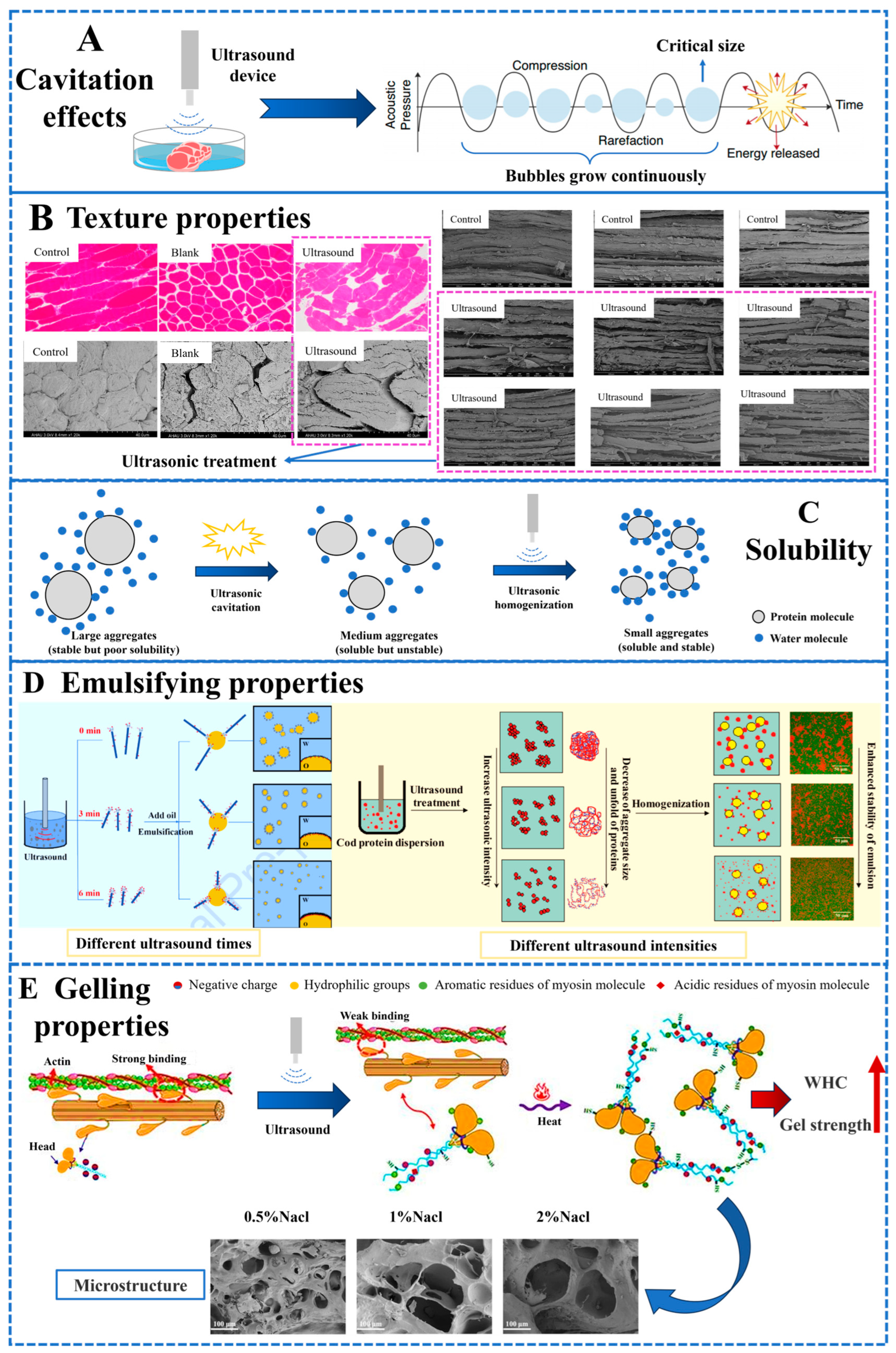 Molecules 29 04926 g002 Molecules 29 04926 g002