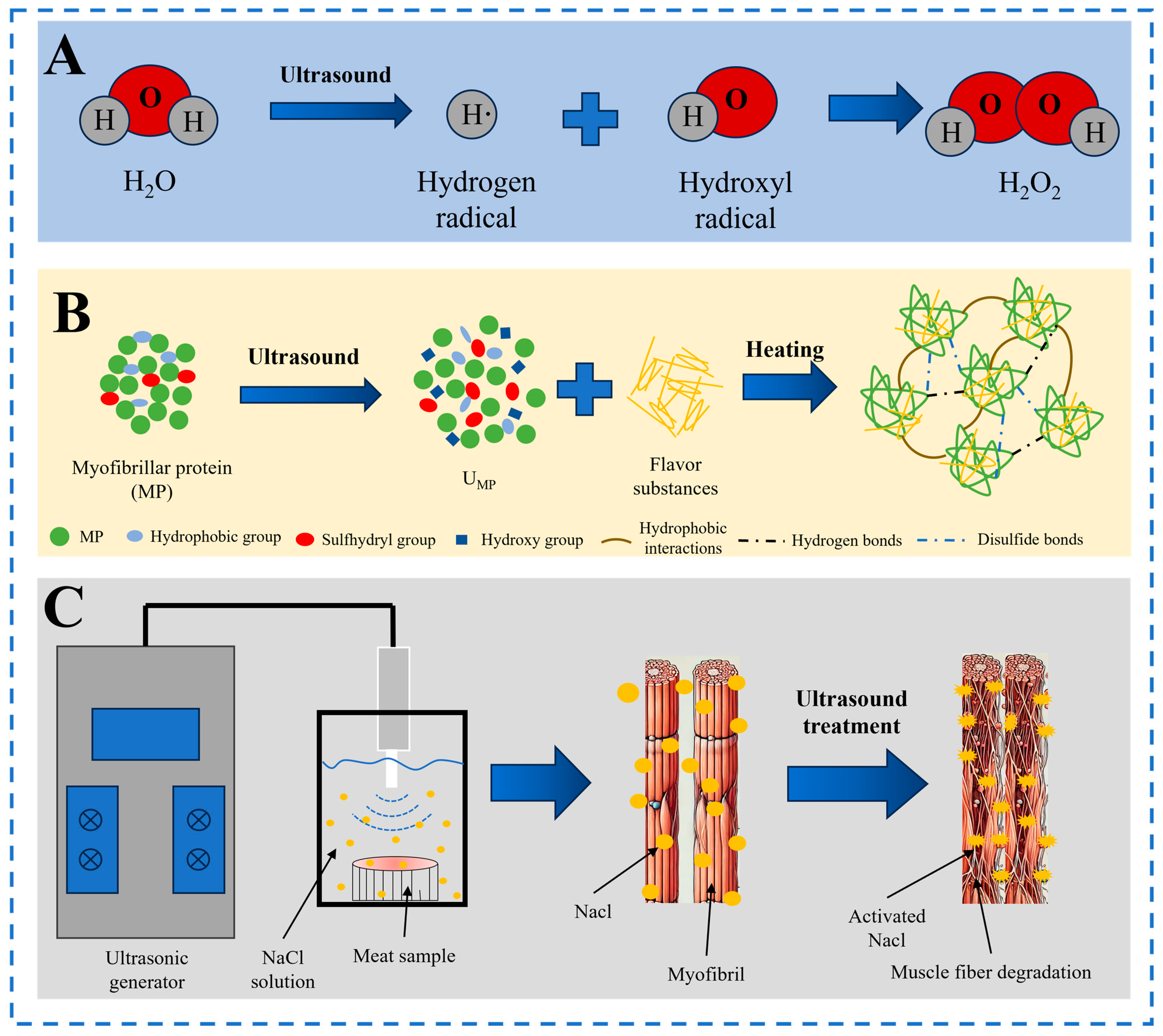 Molecules 29 04926 g003 Molecules 29 04926 g003