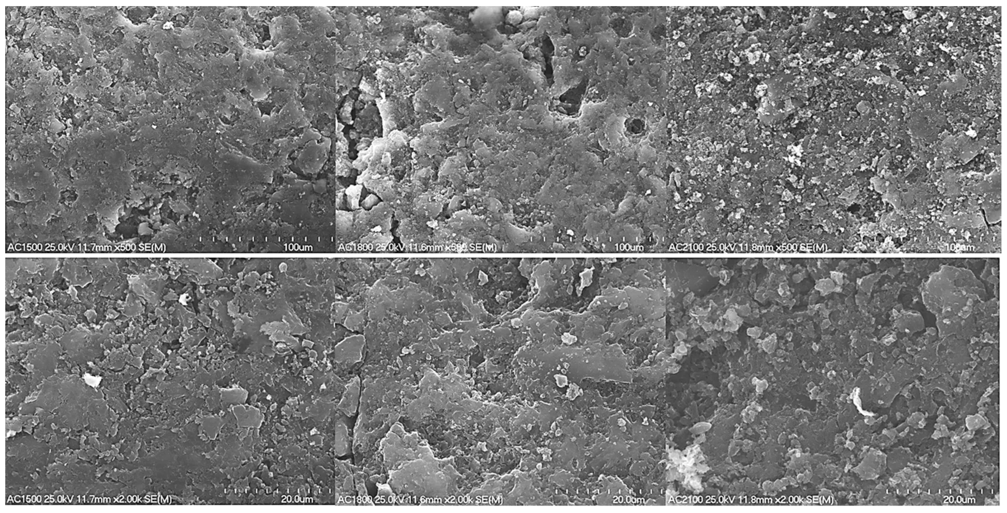 Molecules 29 04930 g001