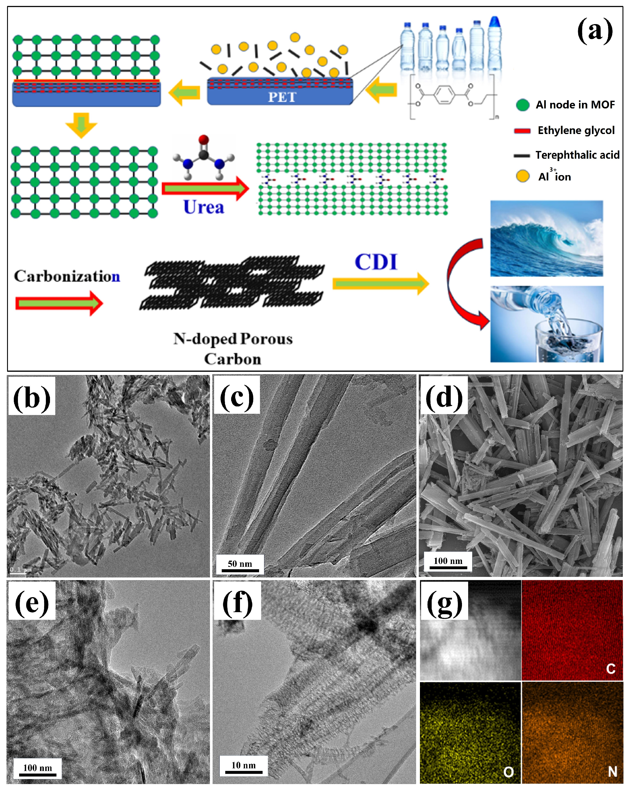 Molecules 29 04934 g001