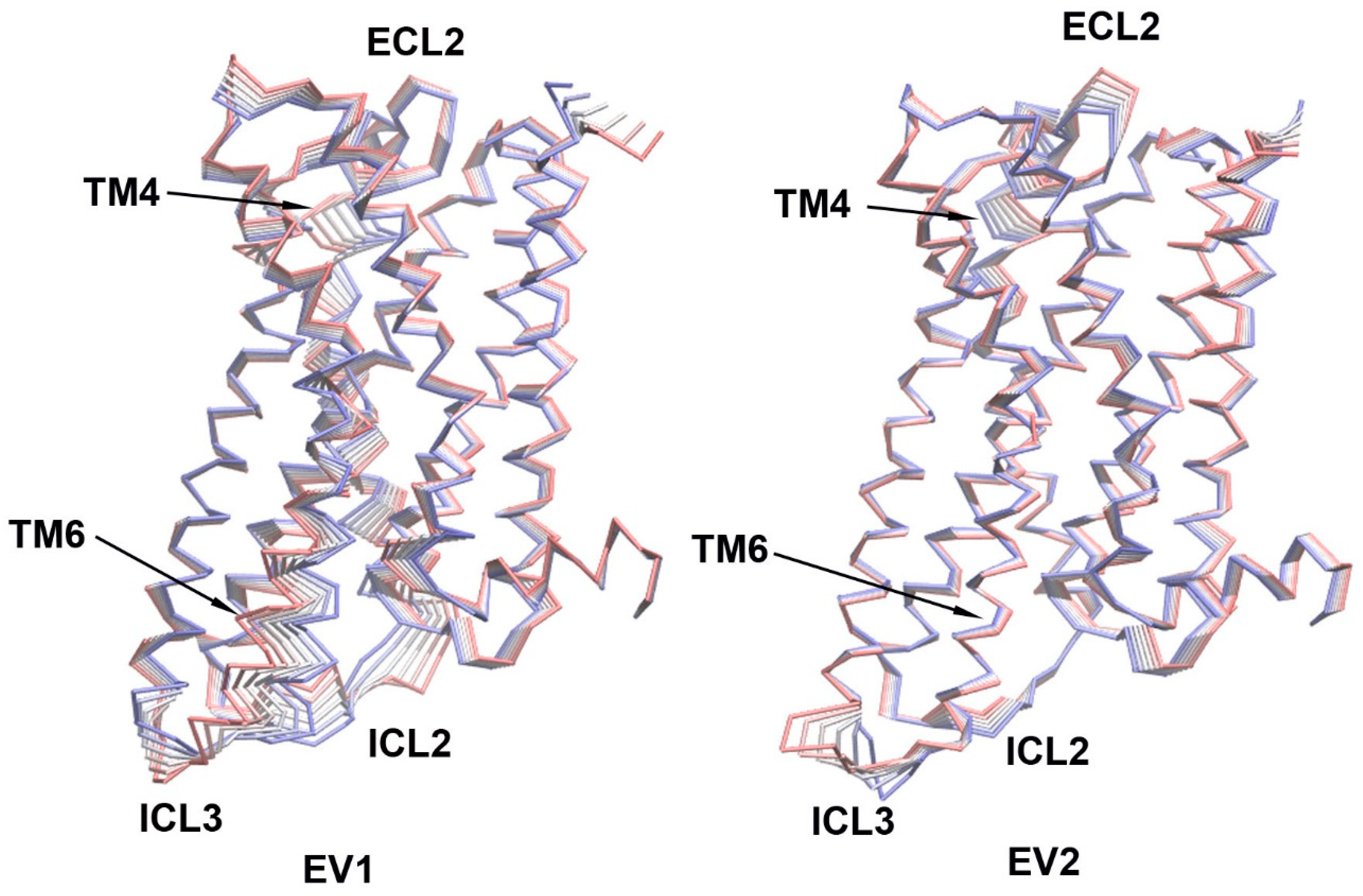 Molecules 29 04935 g004