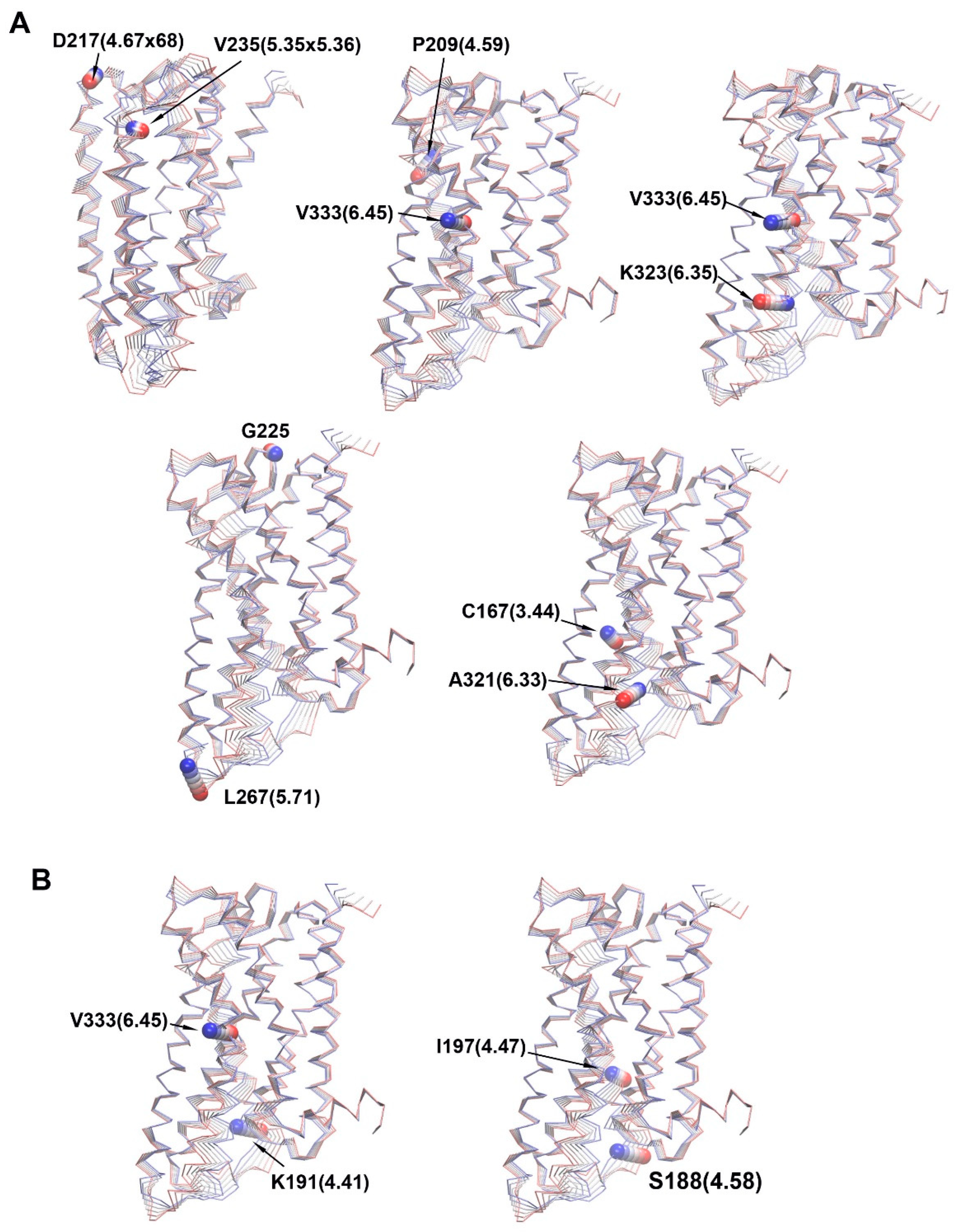 Molecules 29 04935 g009