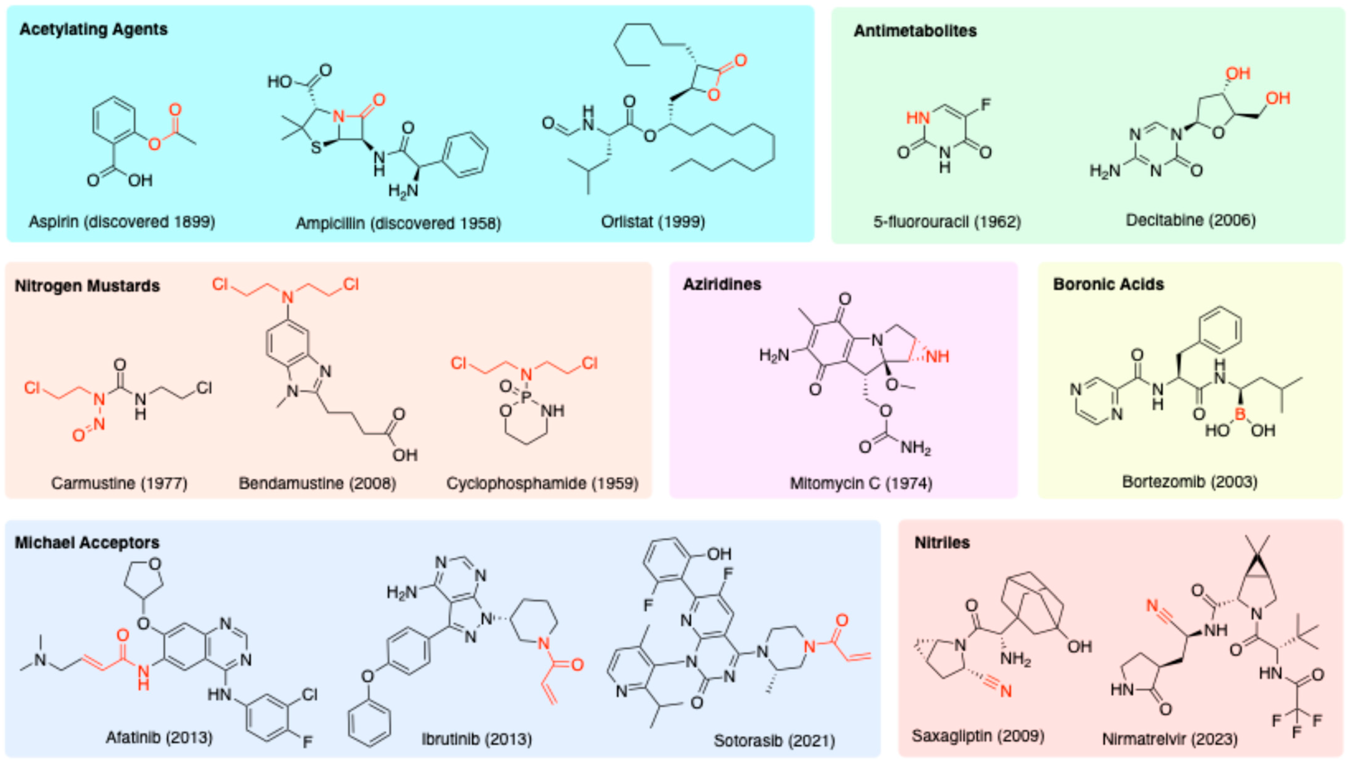 Molecules 29 04949 g002