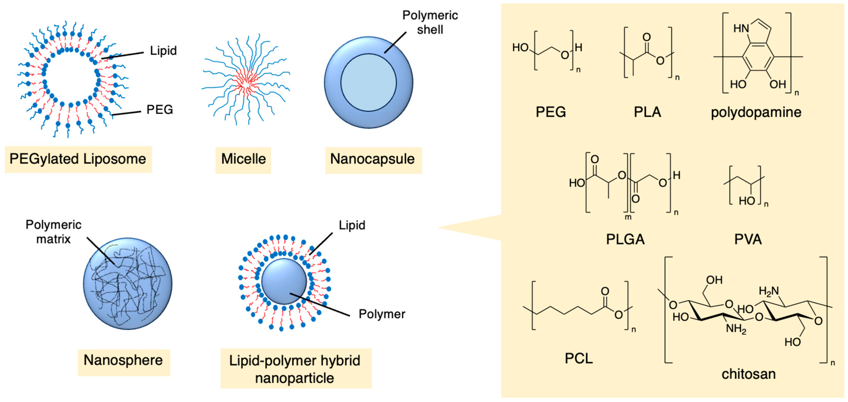 Molecules 29 04949 g003