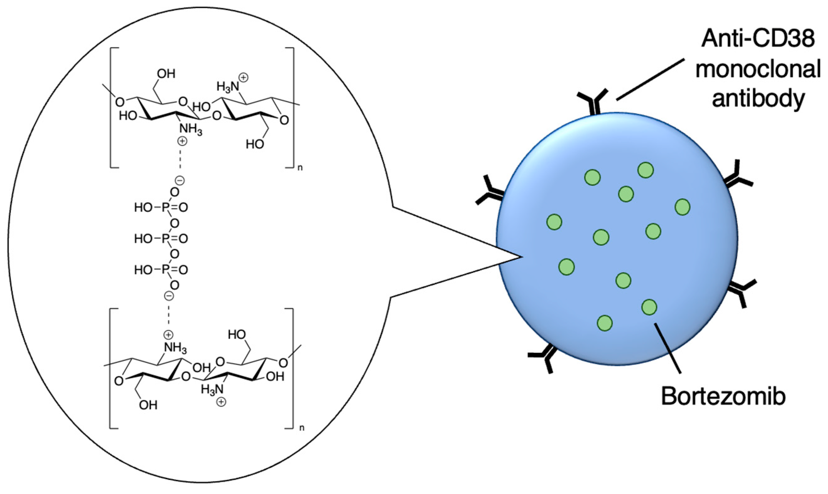 Molecules 29 04949 g008