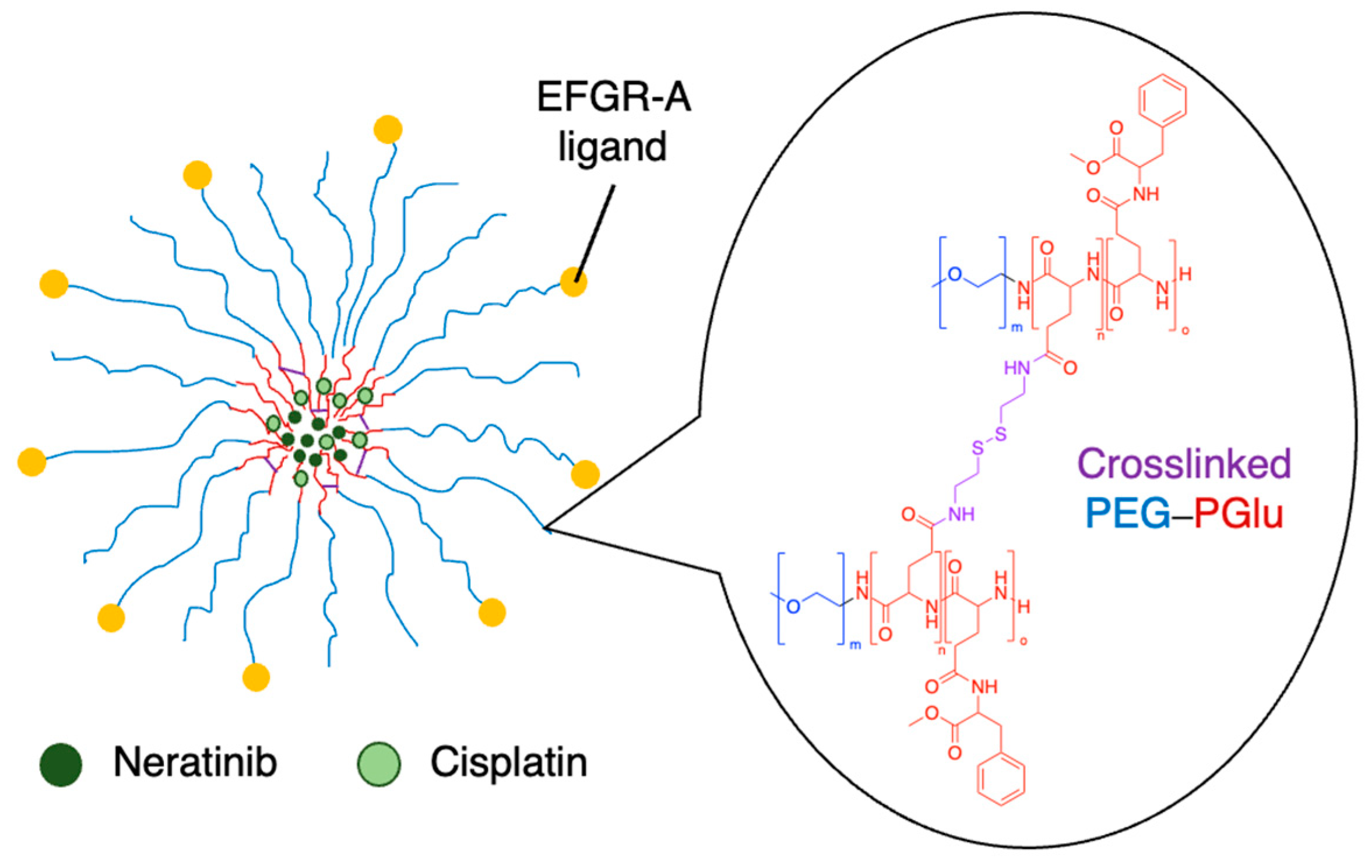 Molecules 29 04949 g011