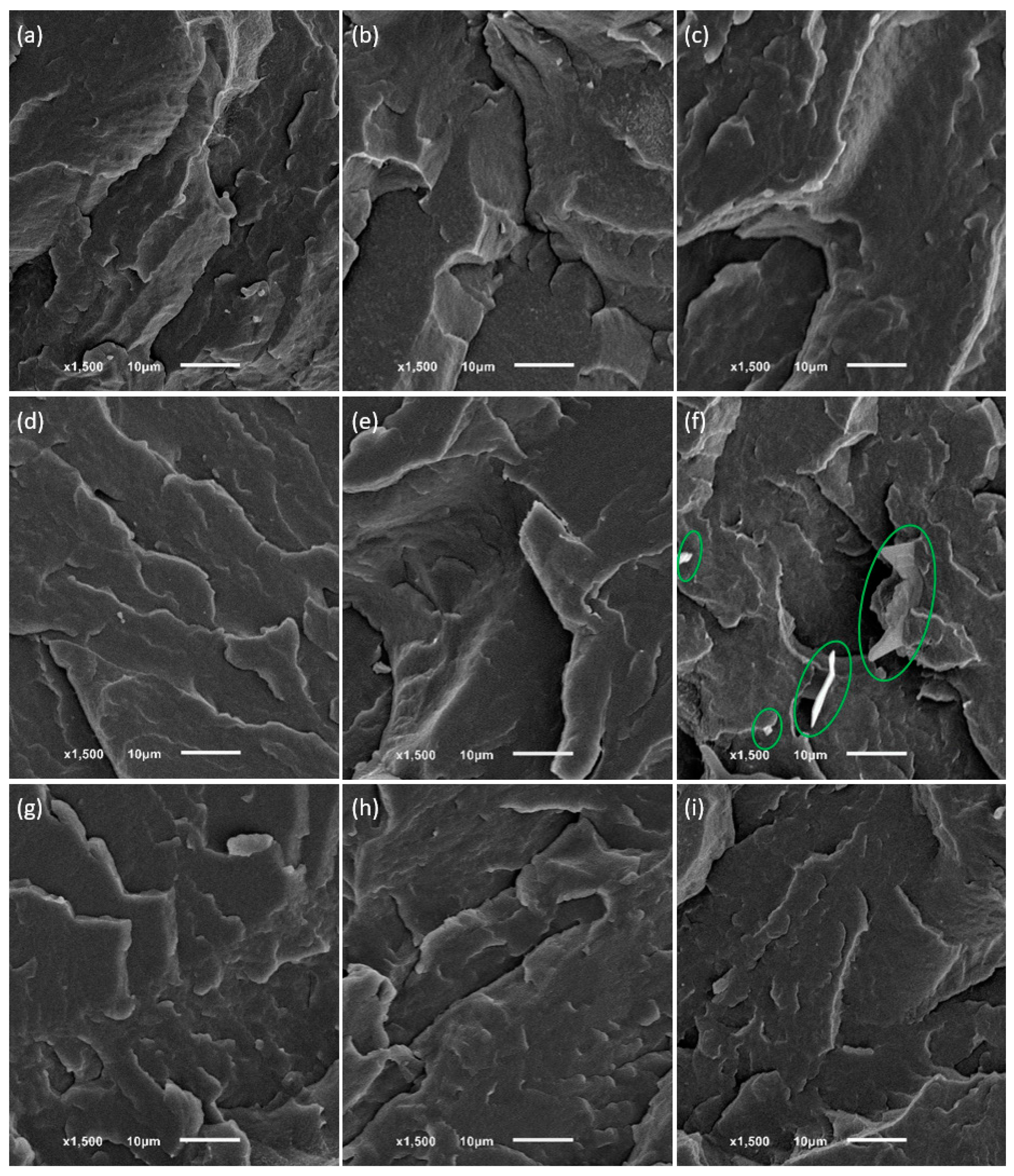 Molecules 29 04950 g005