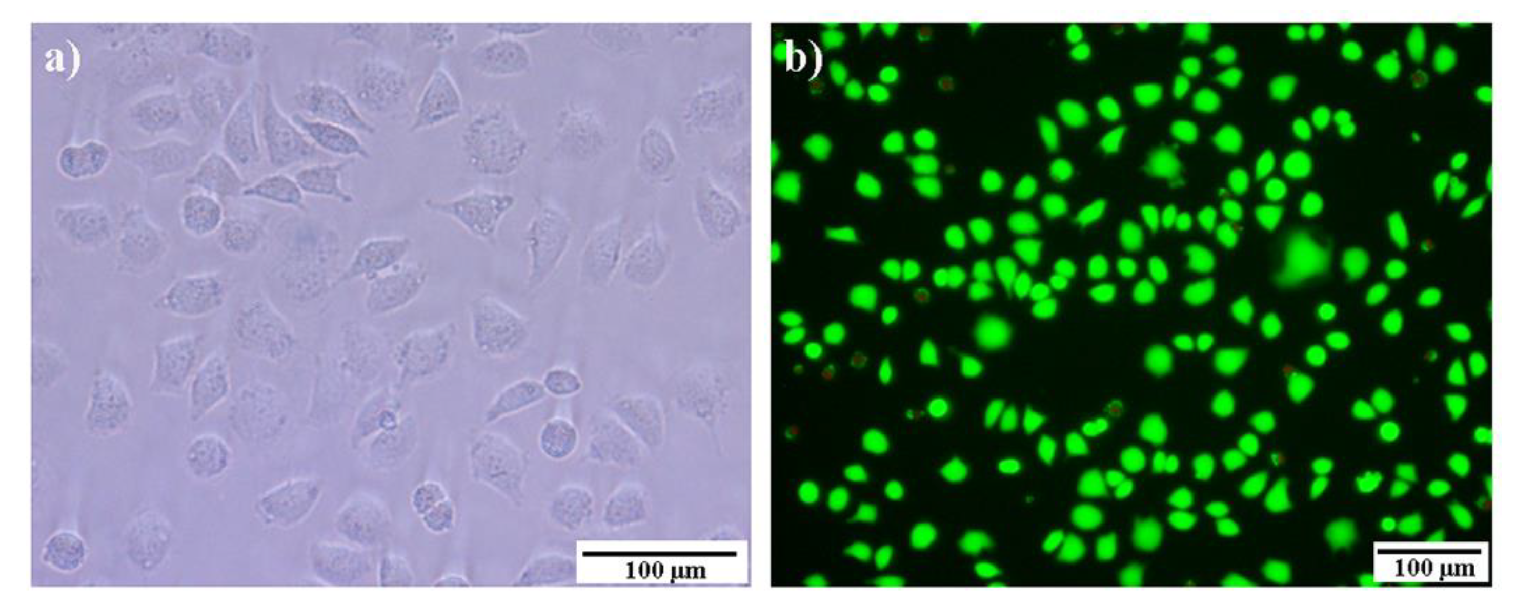 Molecules 29 04952 g012