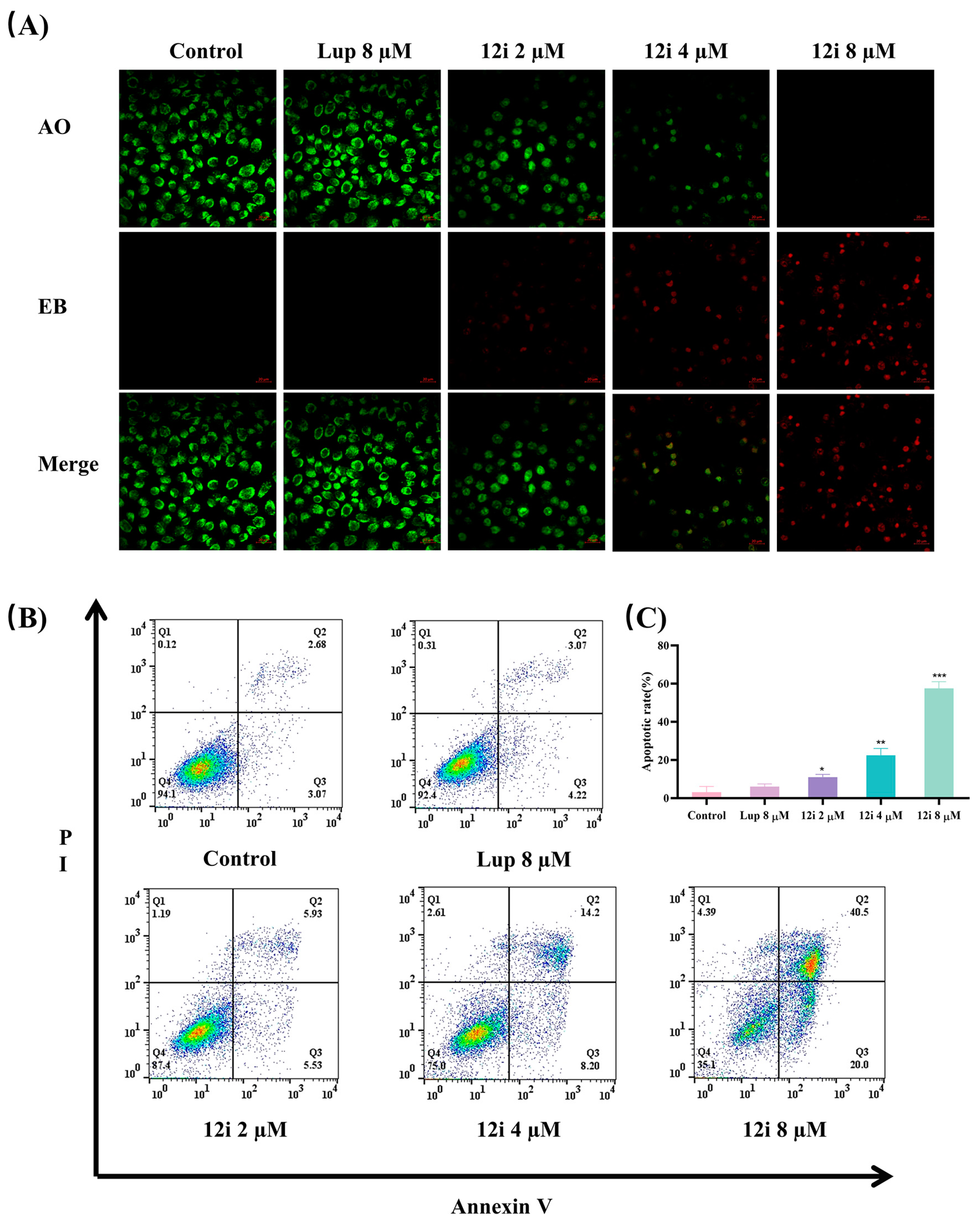 Molecules 29 04957 g002