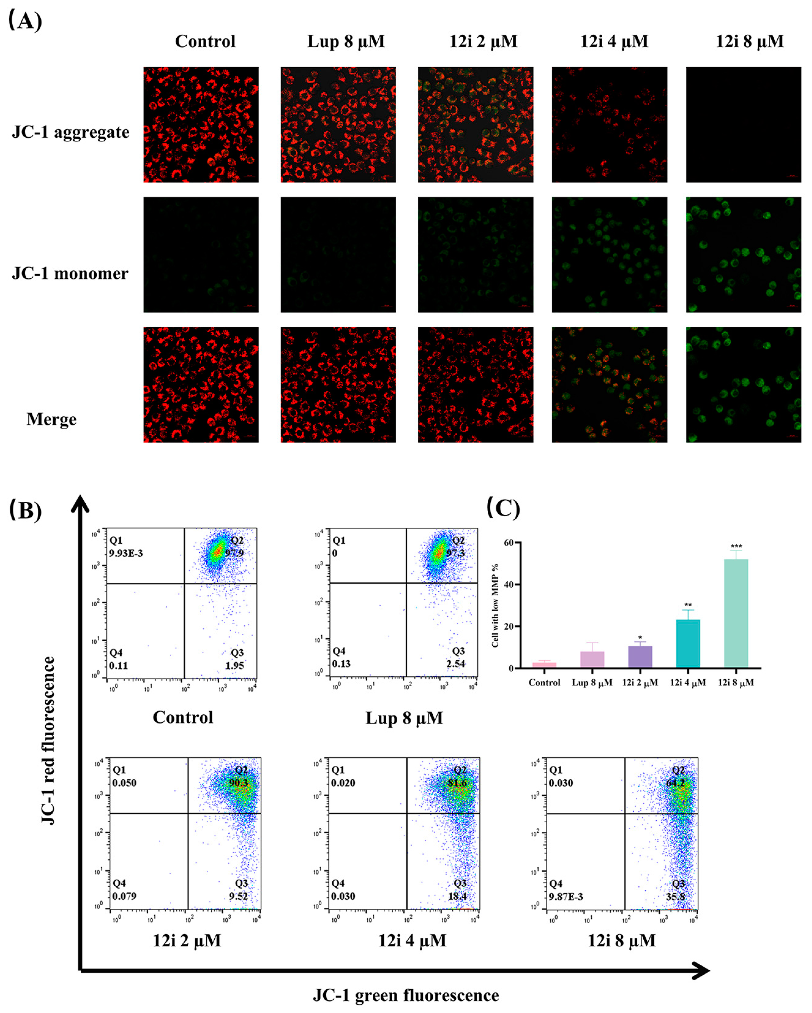 Molecules 29 04957 g004