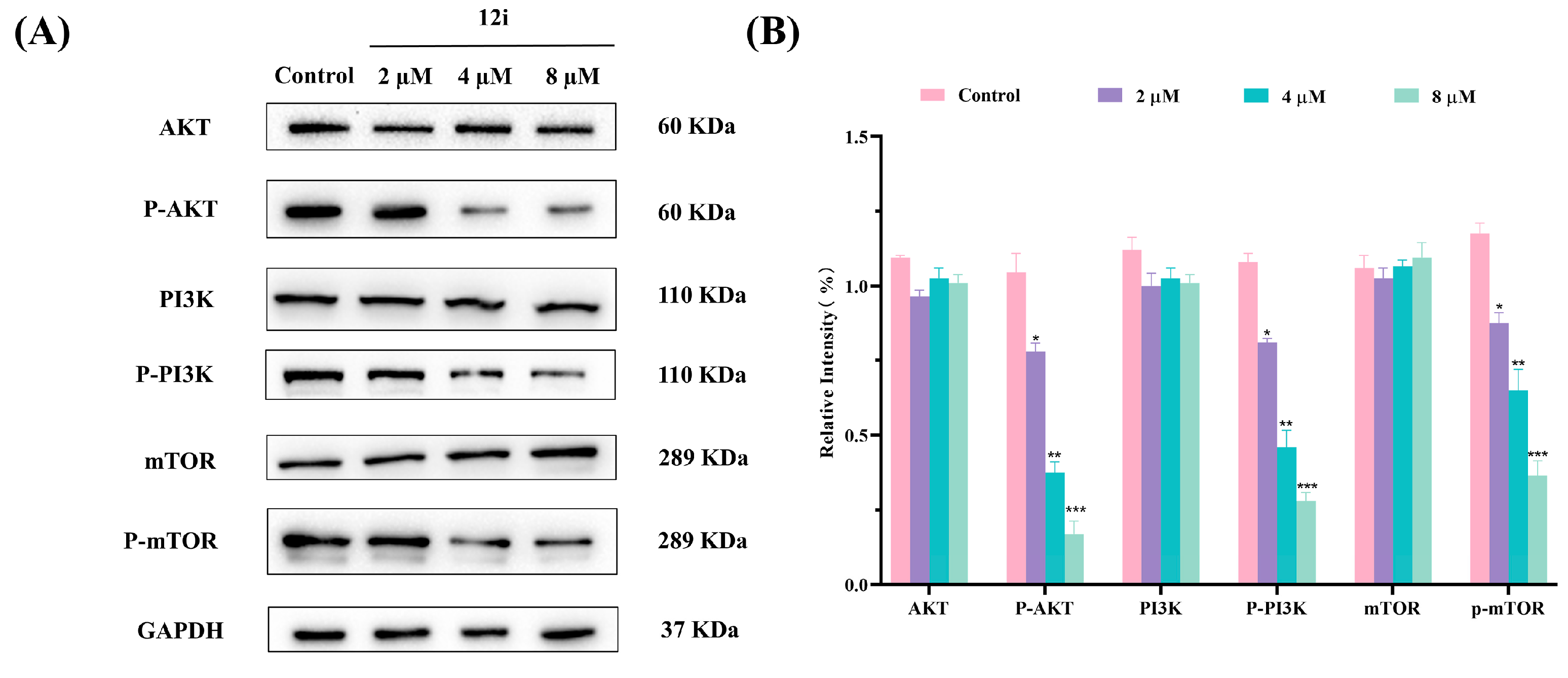 Molecules 29 04957 g006