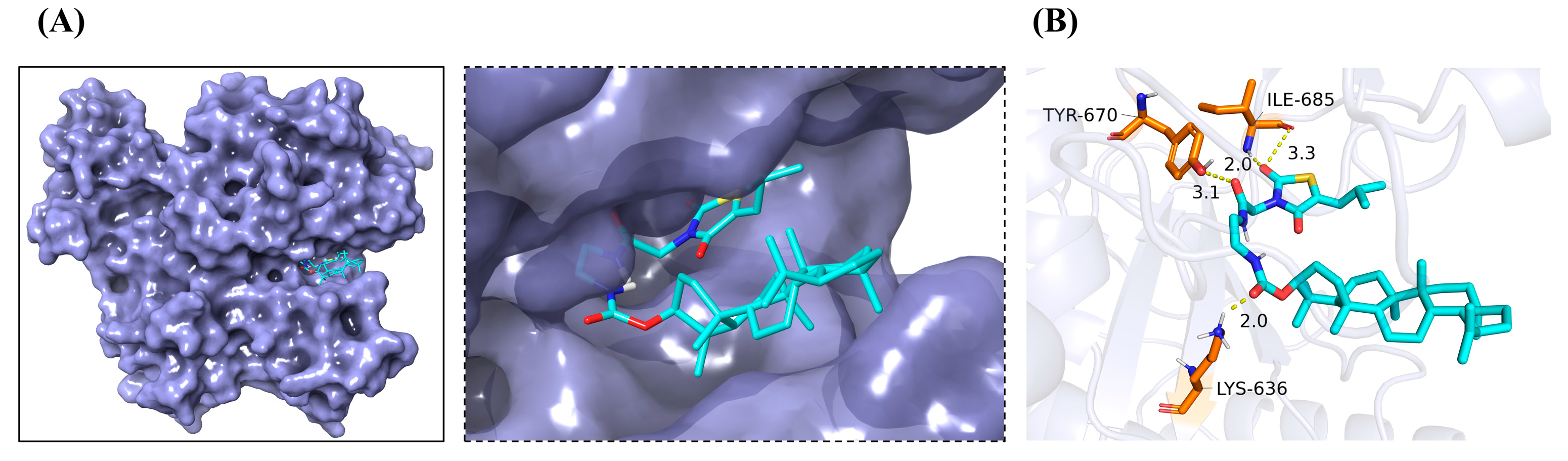Molecules 29 04957 g007