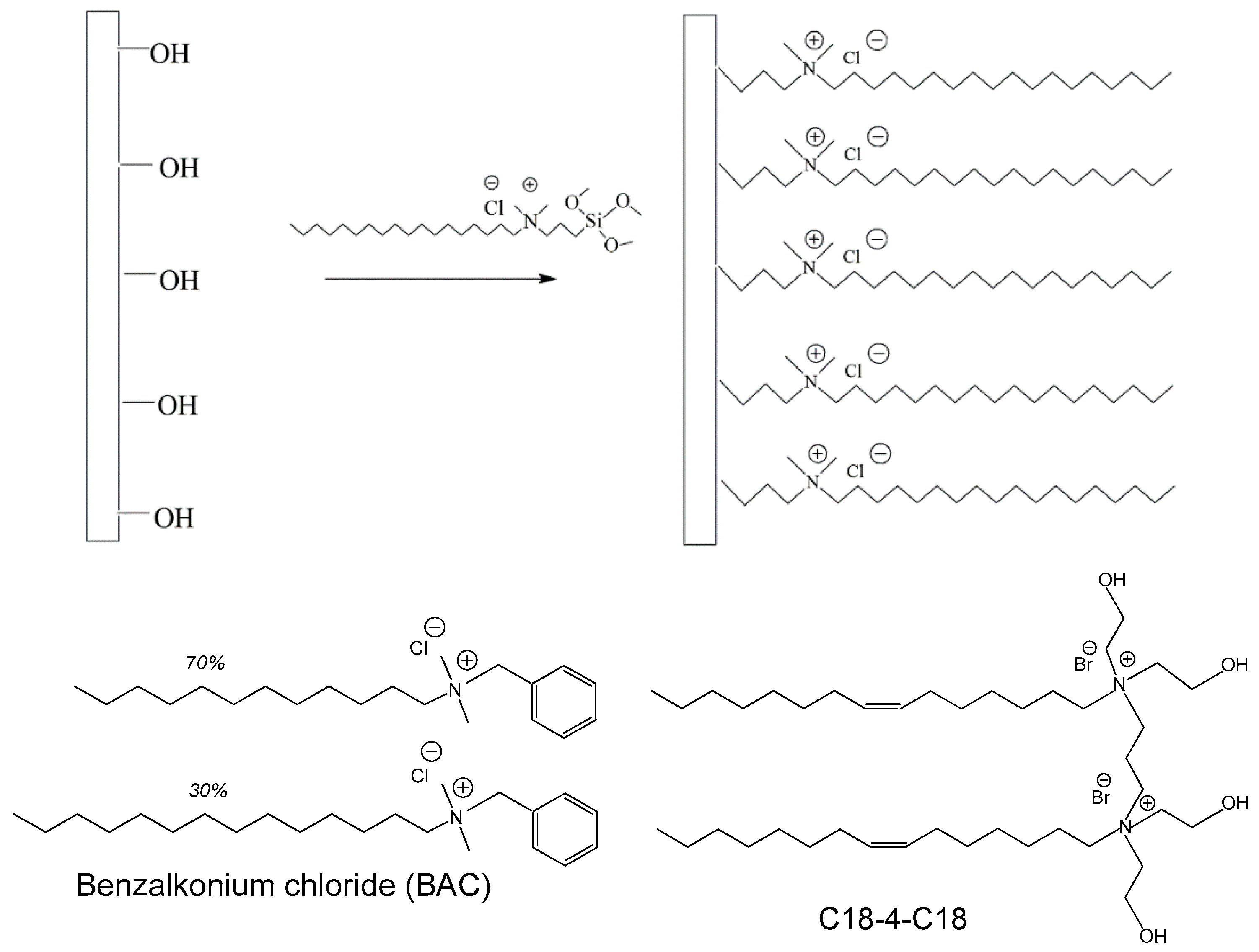 Molecules 29 04961 g001