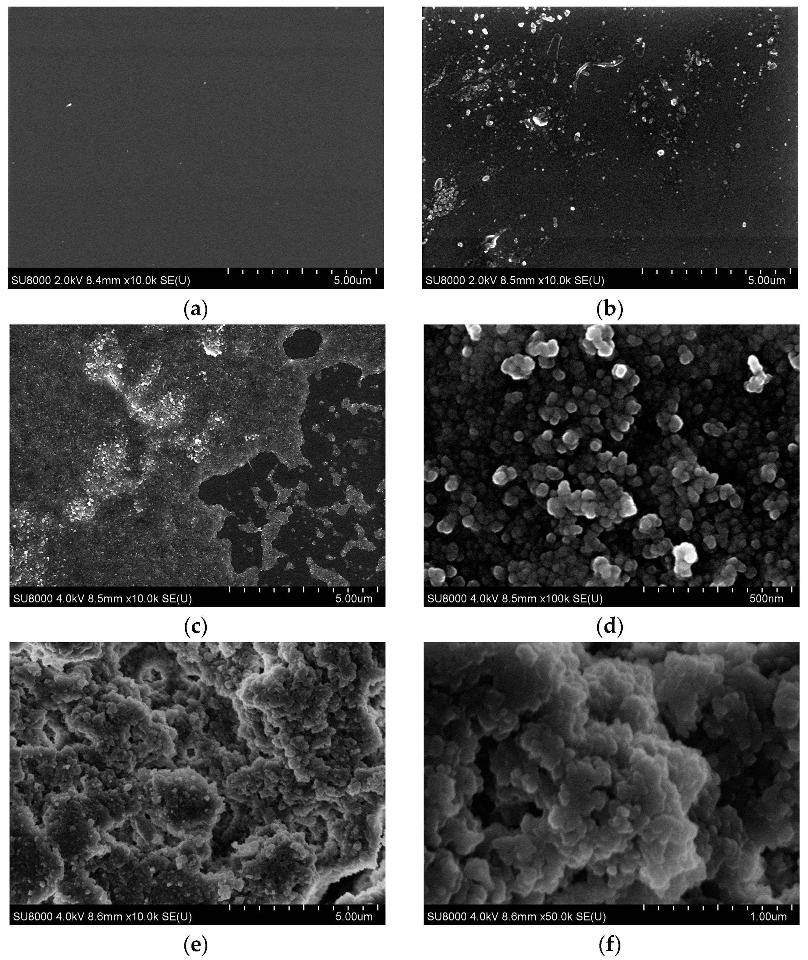 Molecules 29 04961 g006