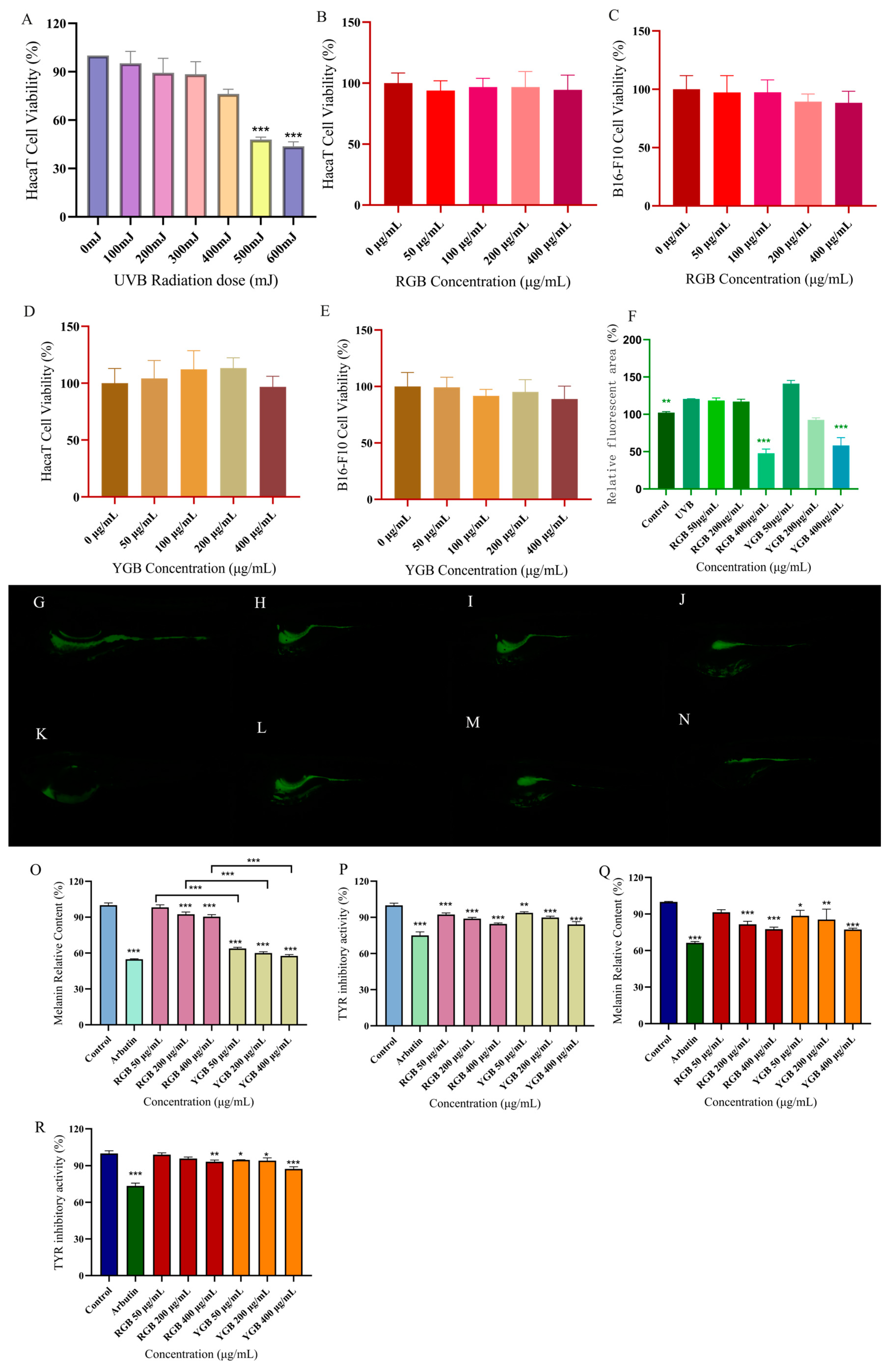 Molecules 29 04962 g004